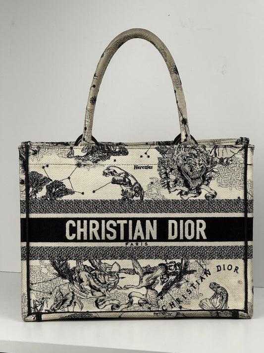 Dior Book Hercules Tote Embroidered Canvas Medium Bag