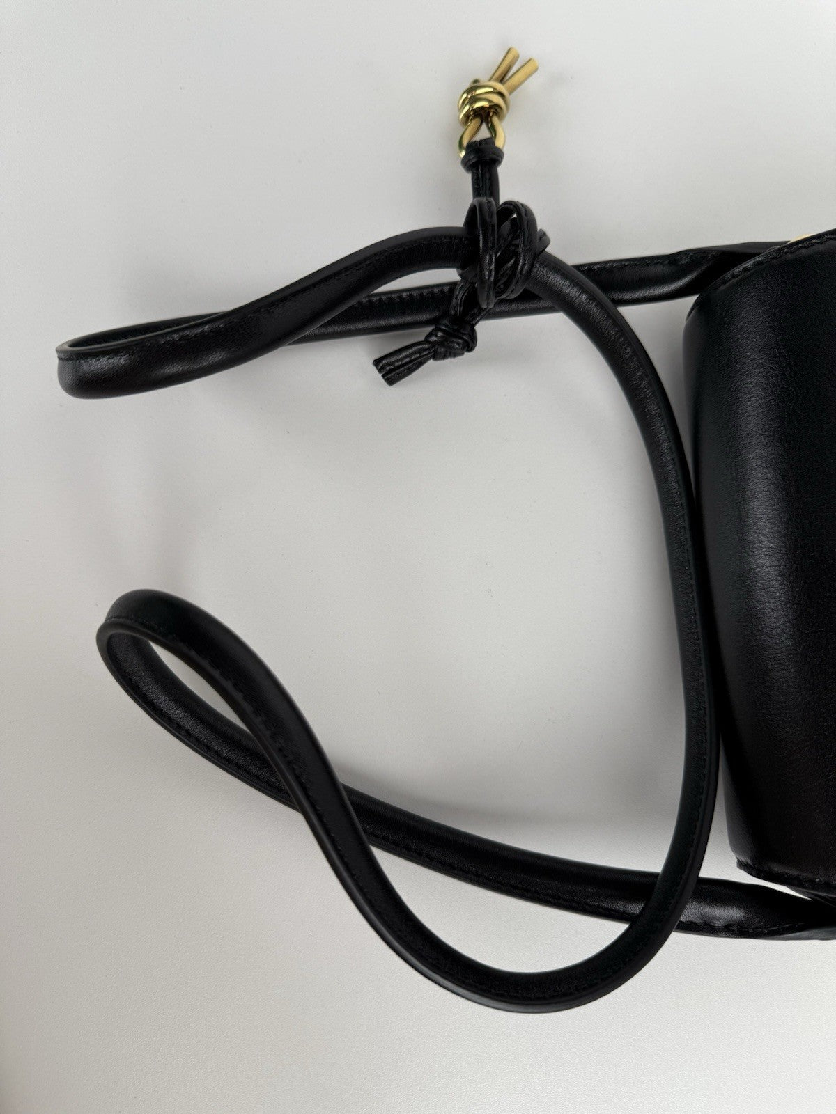 Bottega Veneta Black Mini Desiree Crossbody Women's Bag