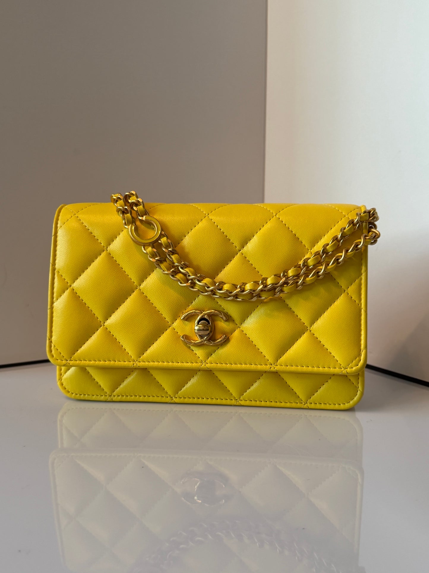Chanel 2024 Quilted Lambskin Wallet on Chain