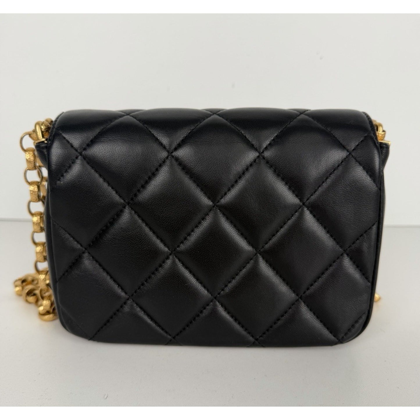 Chanel CC Coin Chain Flap Bag Small in Black Quilted Lambskin Leather 2020 F1