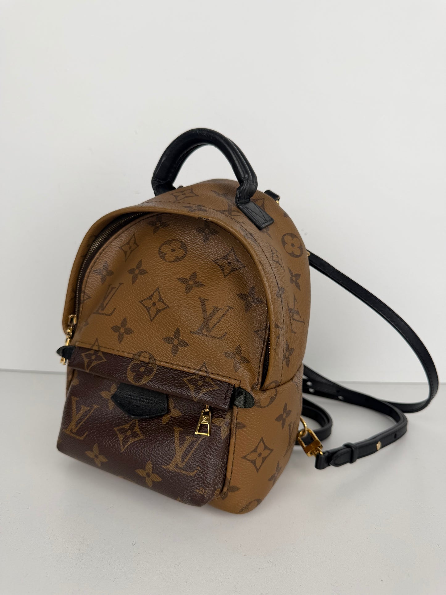 Louis Vuitton Palm Springs Mini Backpack in Brown Reverse Monogram 2018 B-1