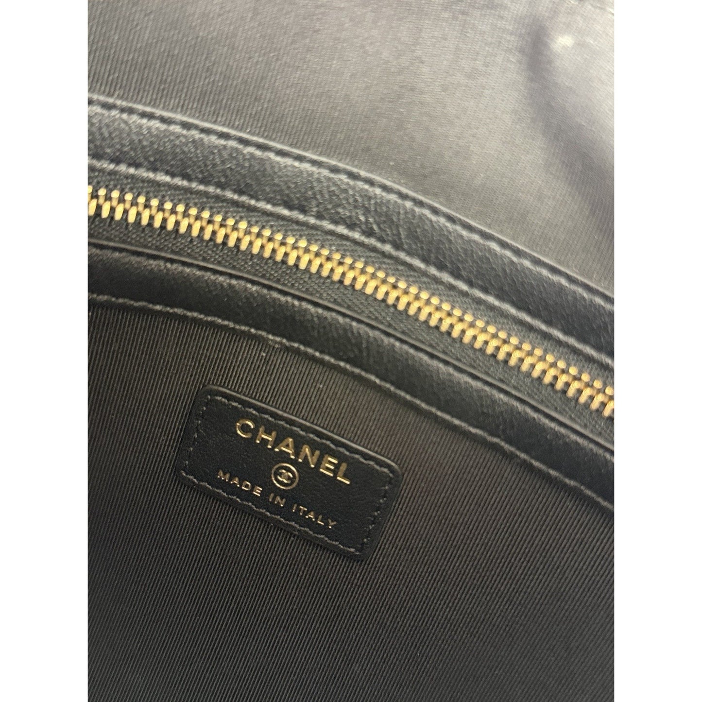 CHANEL Metallic Crocodile Embossed Calfskin Medium O Case Clutch (2019)