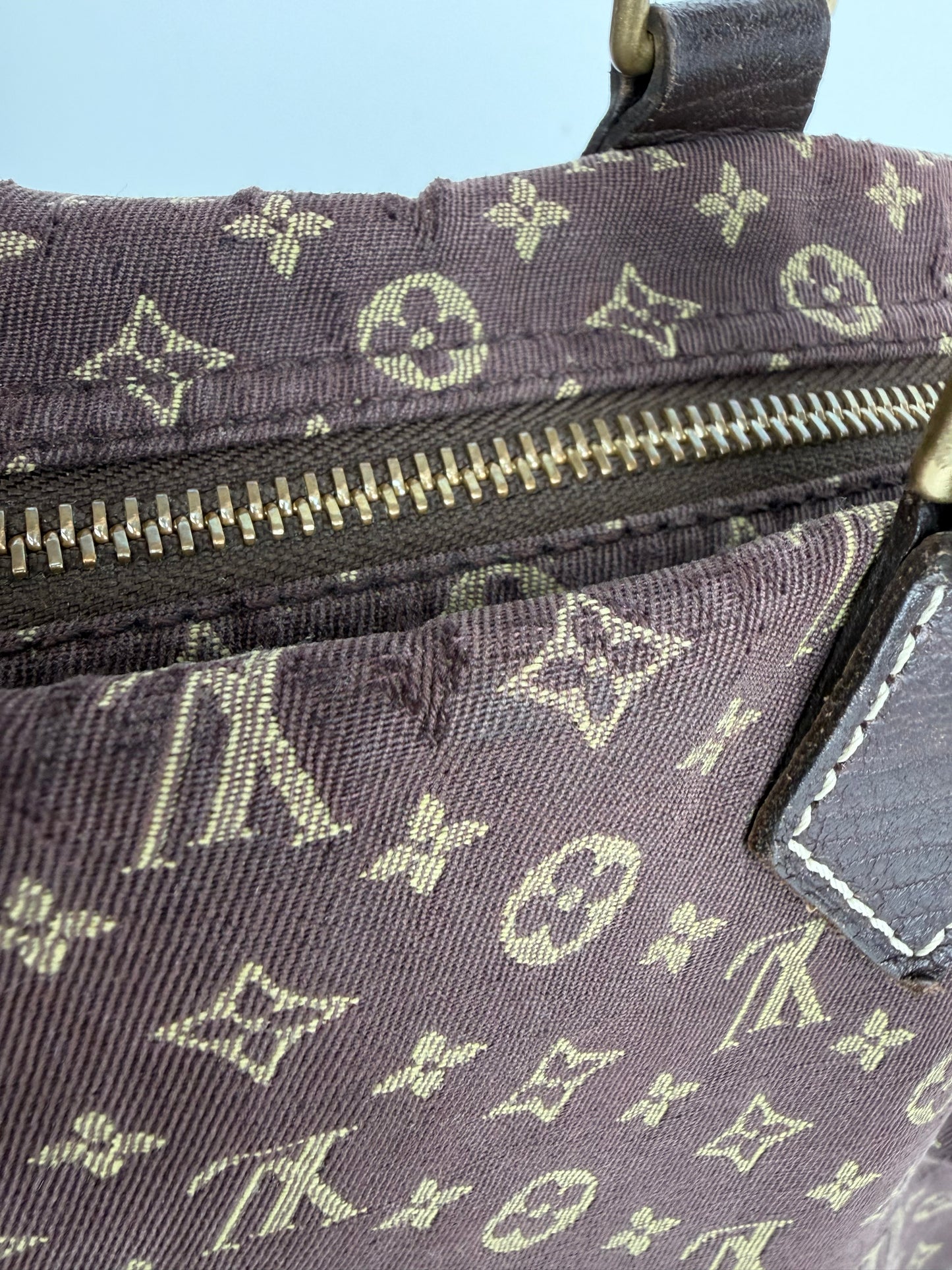 Louis Vuitton Mini Lin Speedy 30 Top Handle Bag