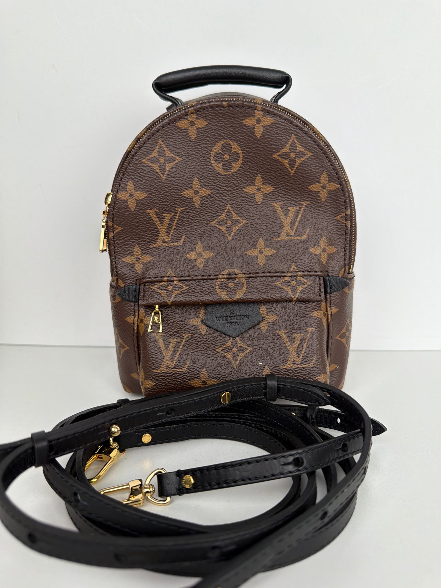 Louis Vuitton Palm Springs Mini Backpack Monogram