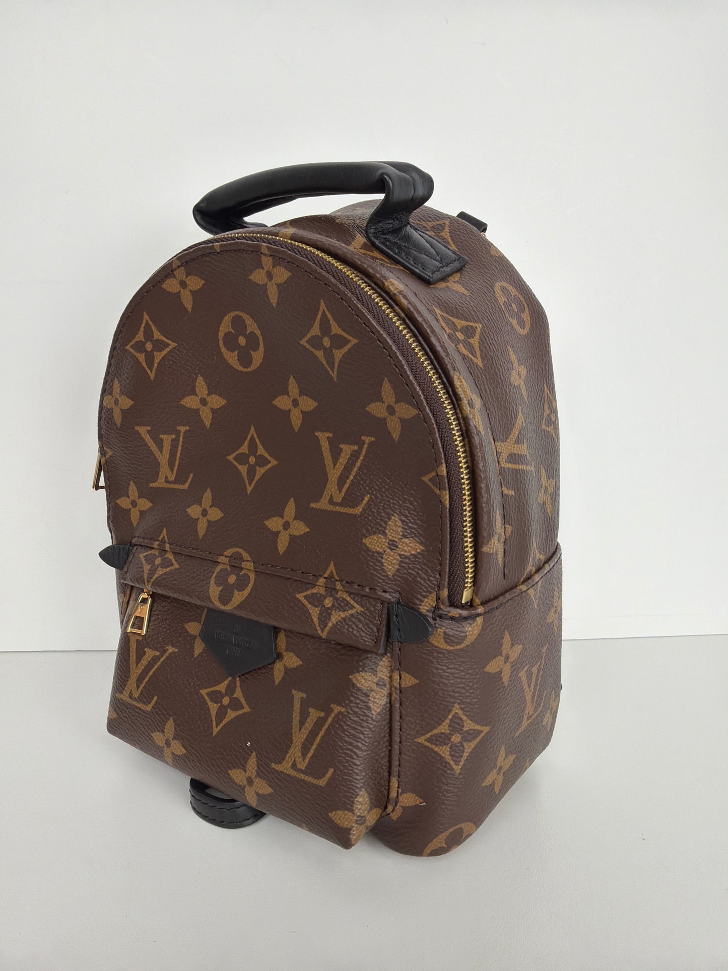Louis Vuitton Palm Springs Mini Backpack Monogram
