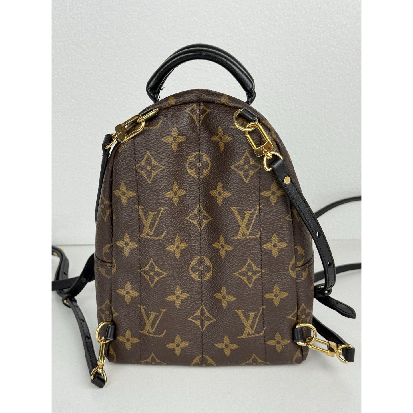 Louis Vuitton Mini Palm Springs Women's Backpack in Brown Monogram