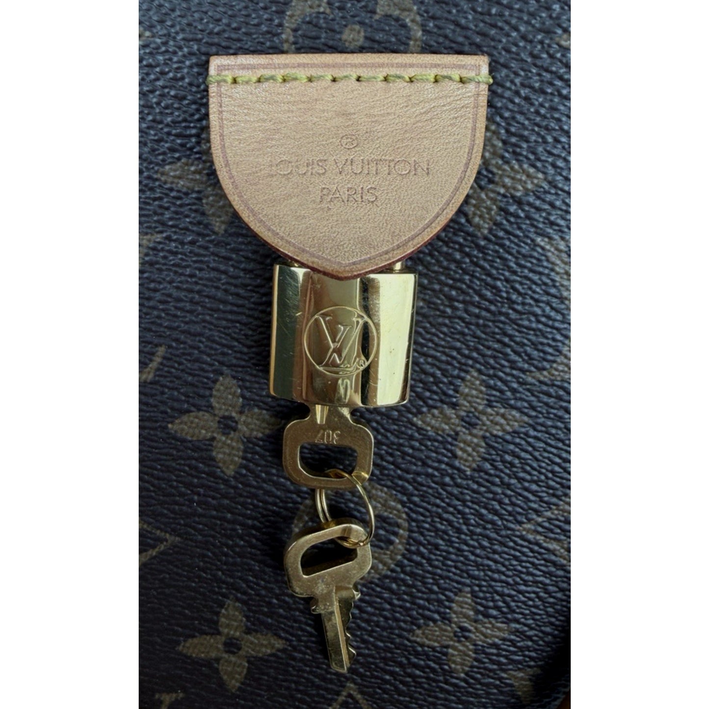 Louis Vuitton Rivoli MM Handbag in Brown Monogram Coated Canvas 2019 D6