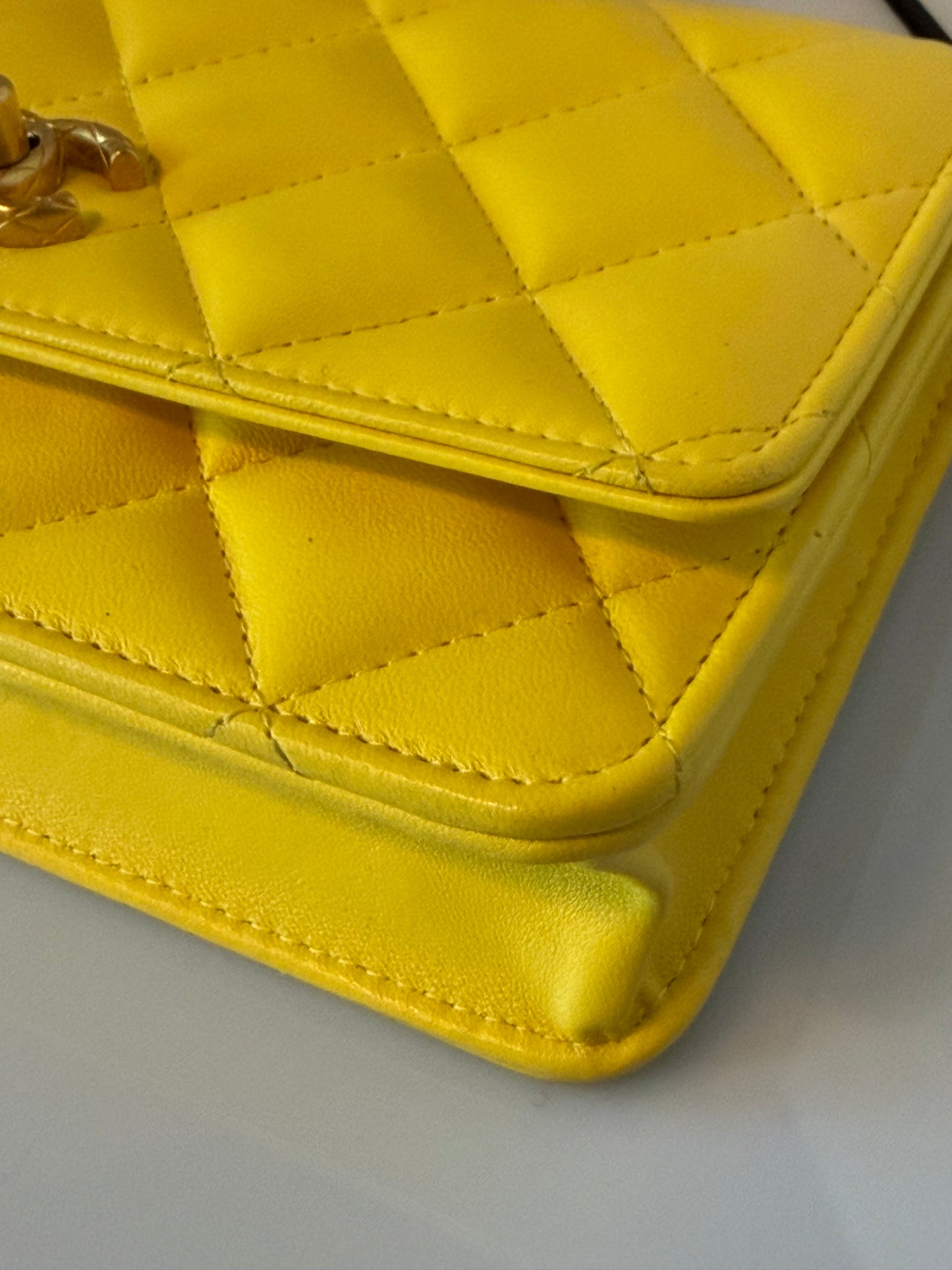 Chanel 2024 Quilted Lambskin Wallet on Chain