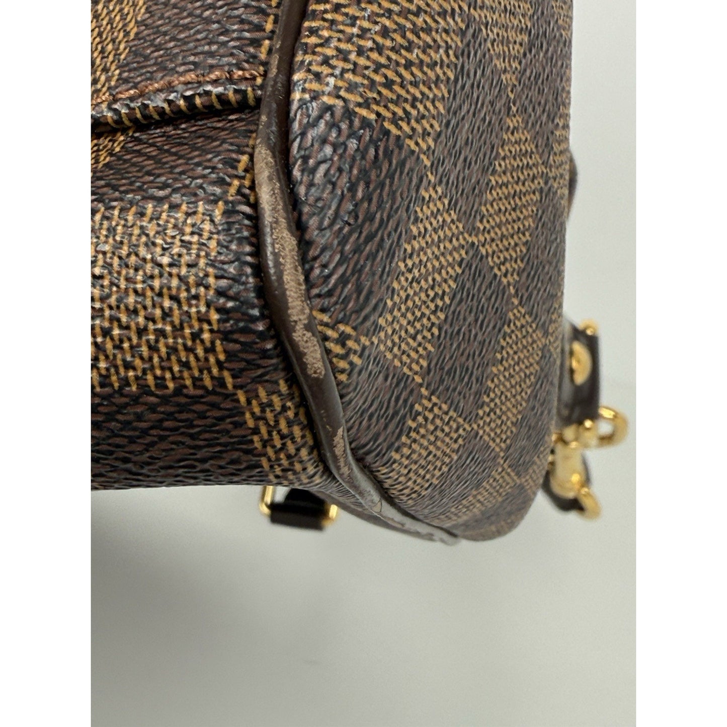 Louis Vuitton Damier Ebene Trevi GM Brown Canvas