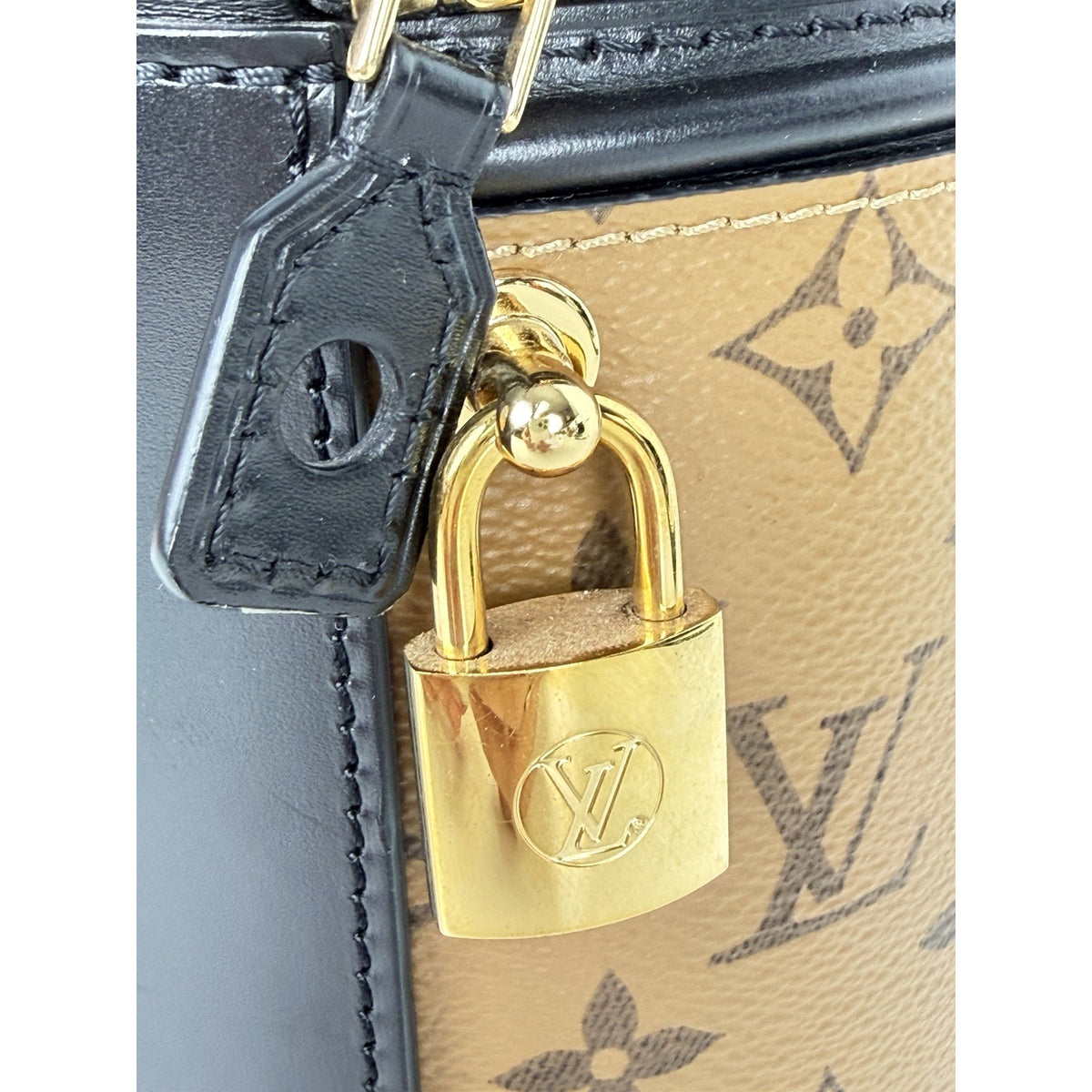 Louis Vuitton Cannes Bucket Bag in Brown Reverse Monogram Coated Canvas 2019 D4