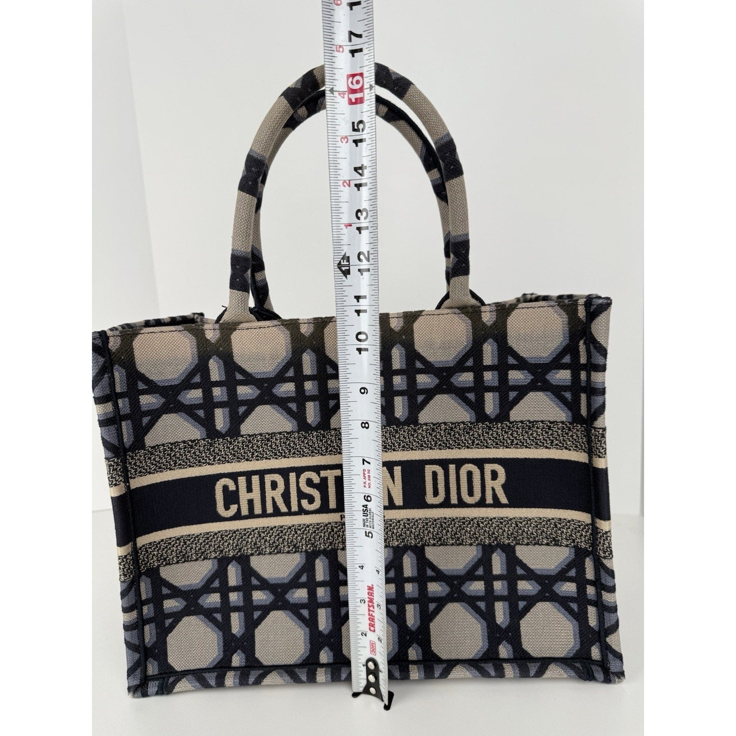 Christian Dior Blue & Neutral Canvas Medium Book Tote Women's Bag