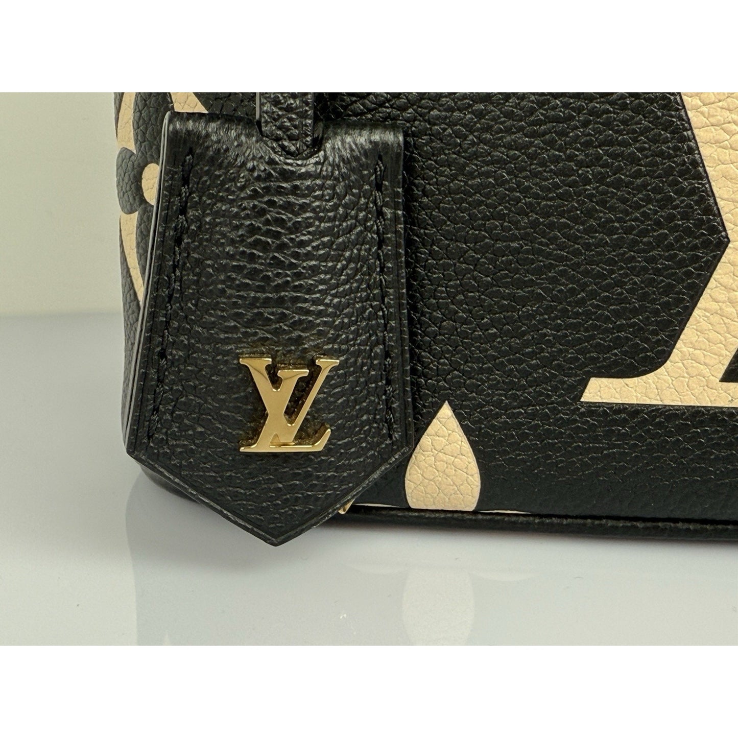 Louis Vuitton Vanity Handbag Bicolor Monogram Empriente Giant PM