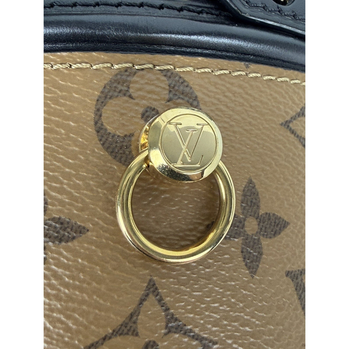 Louis Vuitton Cannes Bucket Bag in Brown Reverse Monogram Coated Canvas 2019 D4