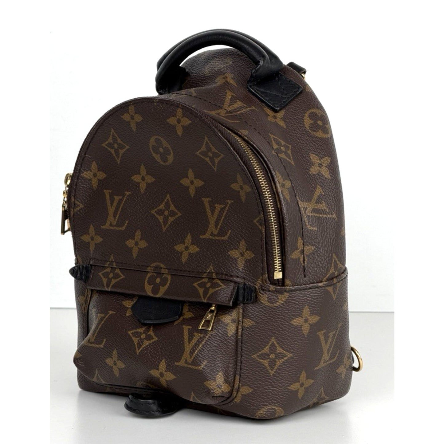 Louis Vuitton Palm Springs Mini Backpack Bag in Brown Coated Canvas 2020 D7