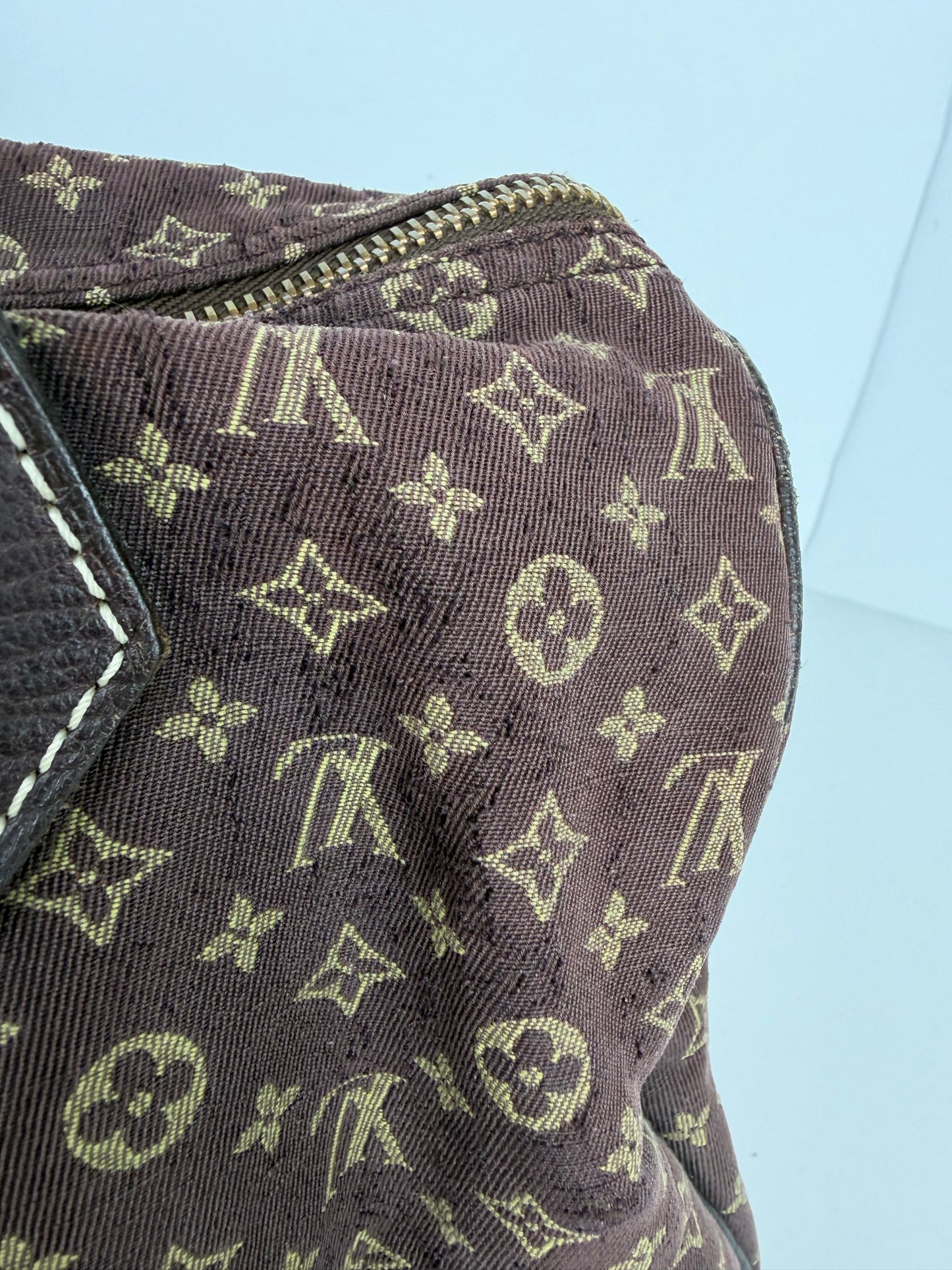 Louis Vuitton Mini Lin Speedy 30 Top Handle Bag
