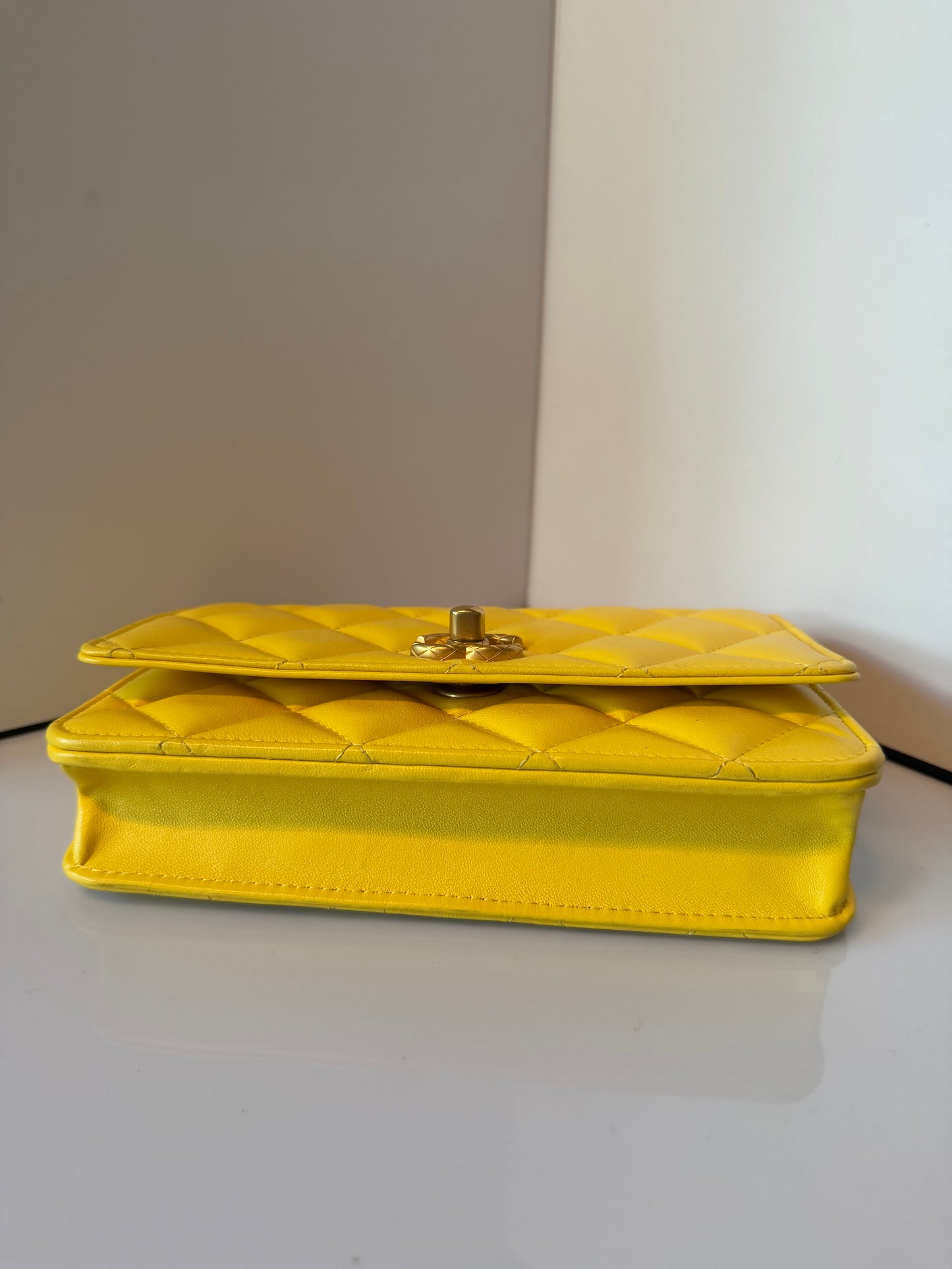 Chanel 2024 Quilted Lambskin Wallet on Chain