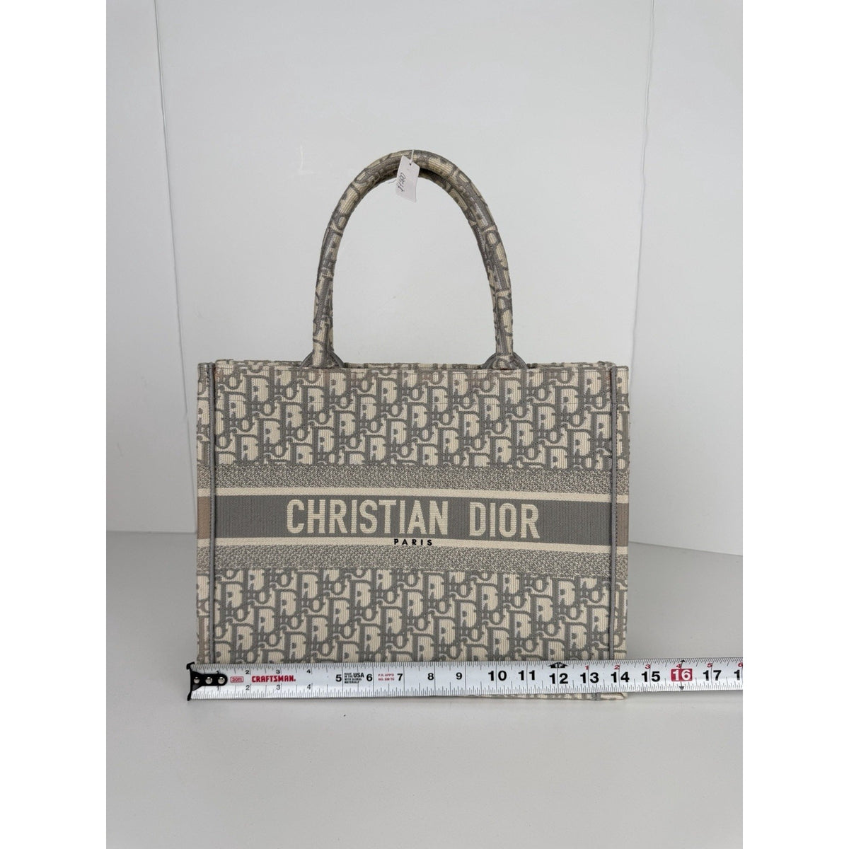Christian Dior Oblique Medium Book Tote Bag in Classic Monogram Canvas 2022 S22