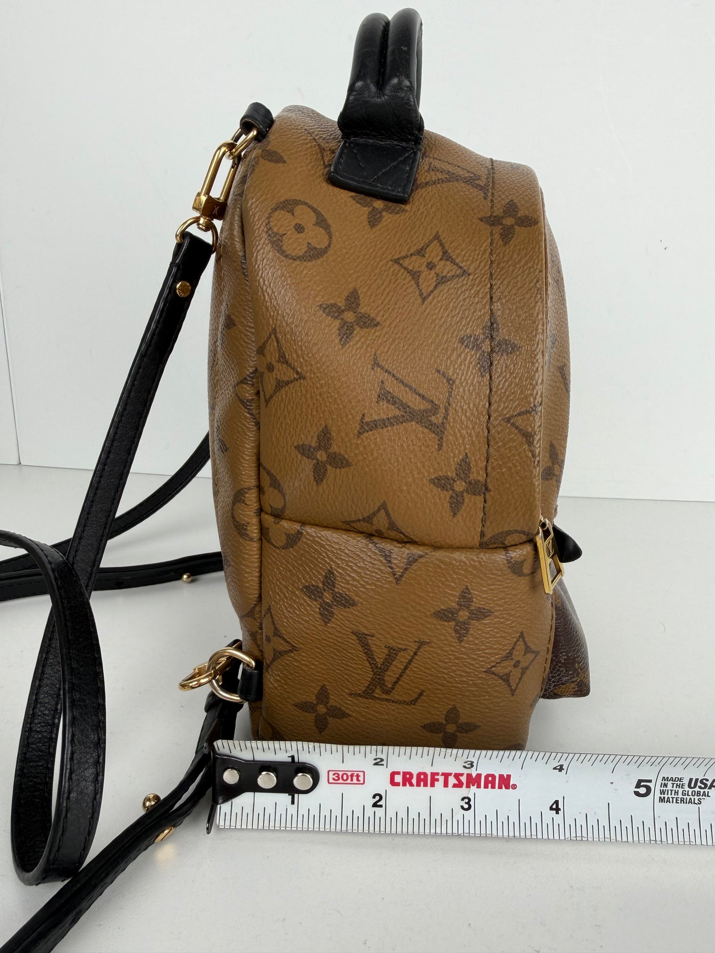 Louis Vuitton Palm Springs Mini Backpack in Brown Reverse Monogram 2018 B-1