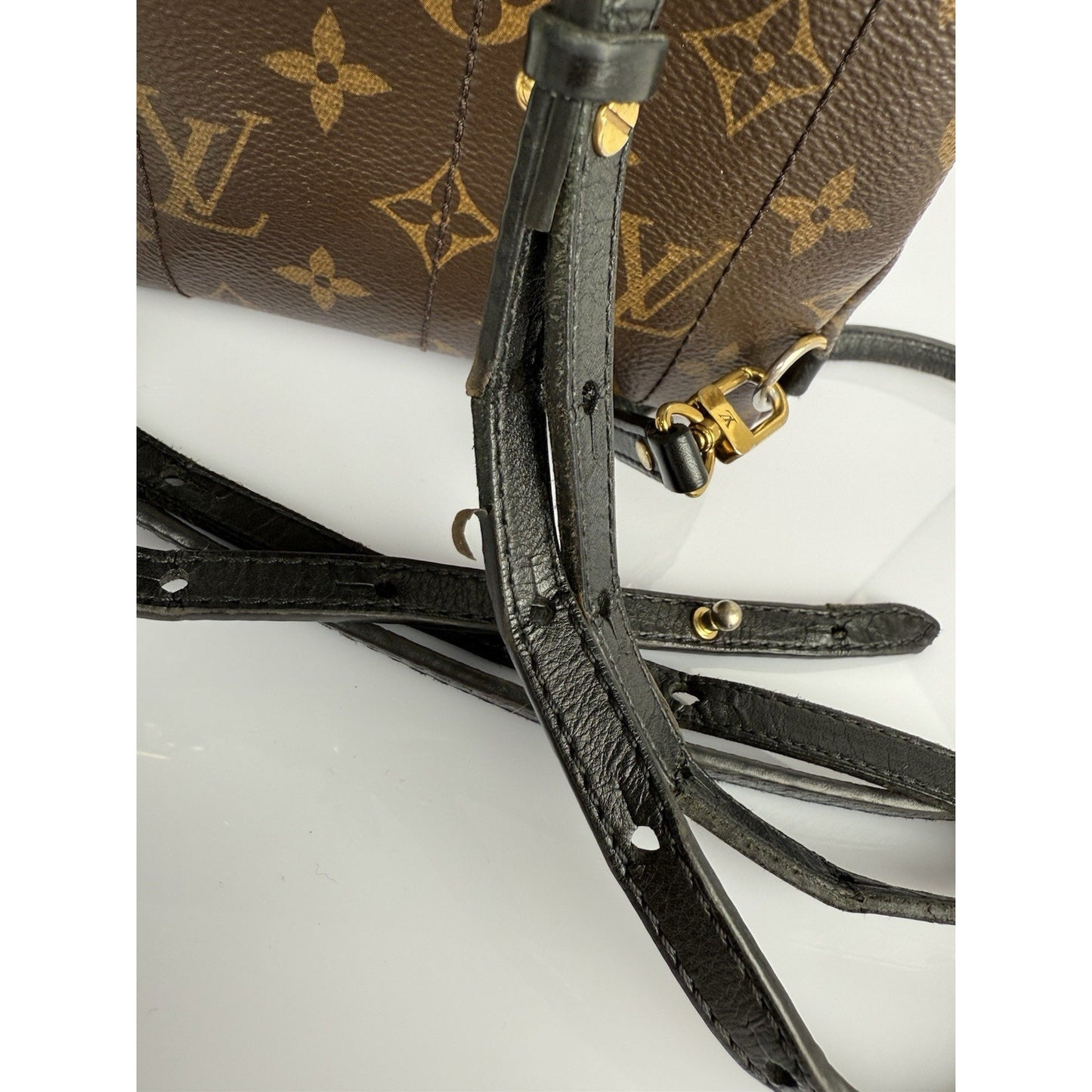 Louis Vuitton Mini Palm Springs Women's Backpack in Brown Monogram