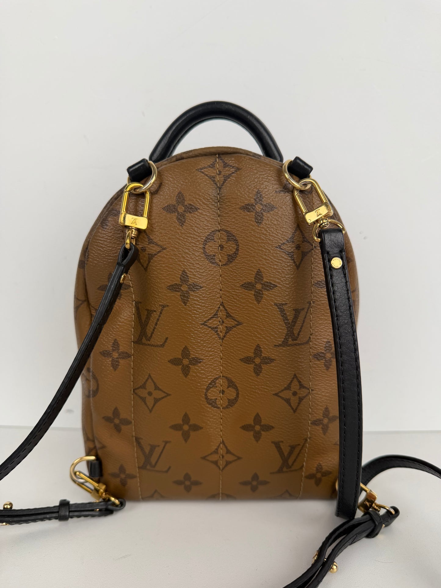 Louis Vuitton Palm Springs Mini Backpack in Brown Reverse Monogram 2018 B-1