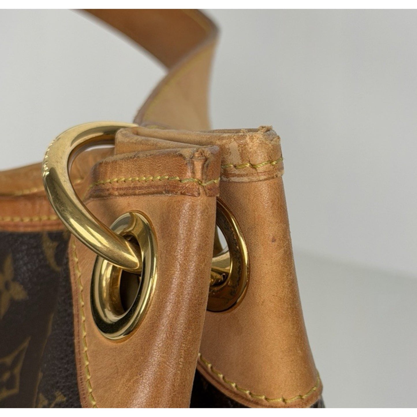 Louis Vuitton Monogram Galliera PM Hobo Bag in Brown Canvas S08
