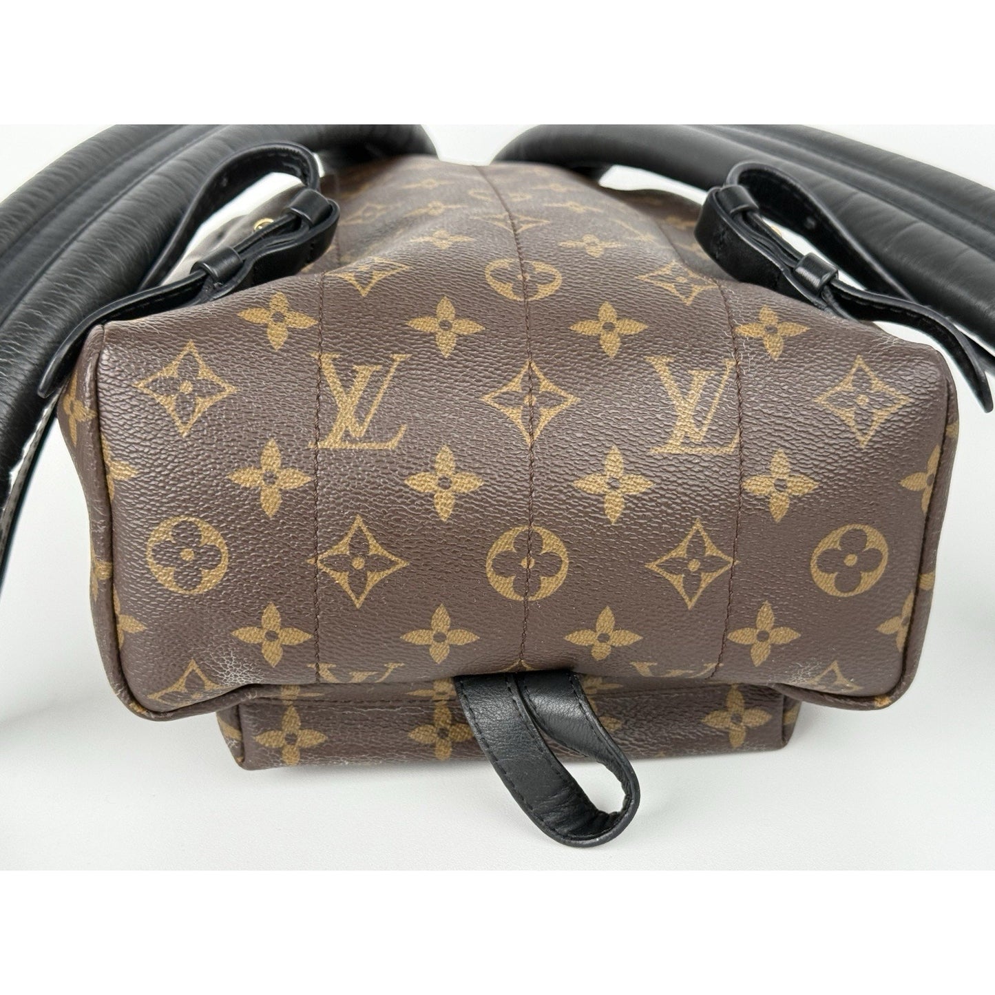 Louis Vuitton Palm Springs Backpack Monogram Canvas MM