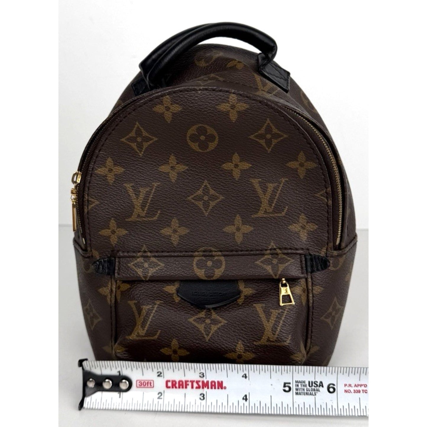 Louis Vuitton Palm Springs Mini Backpack Bag in Brown Coated Canvas 2020 D7