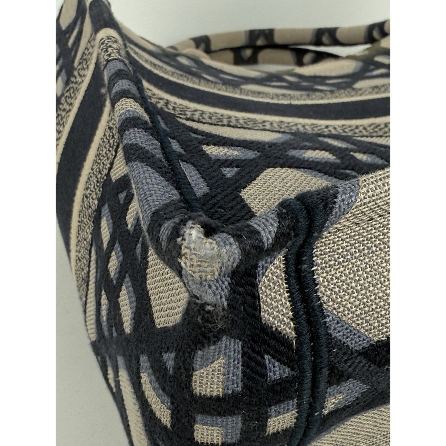 Christian Dior Blue & Neutral Canvas Medium Book Tote Women's Bag