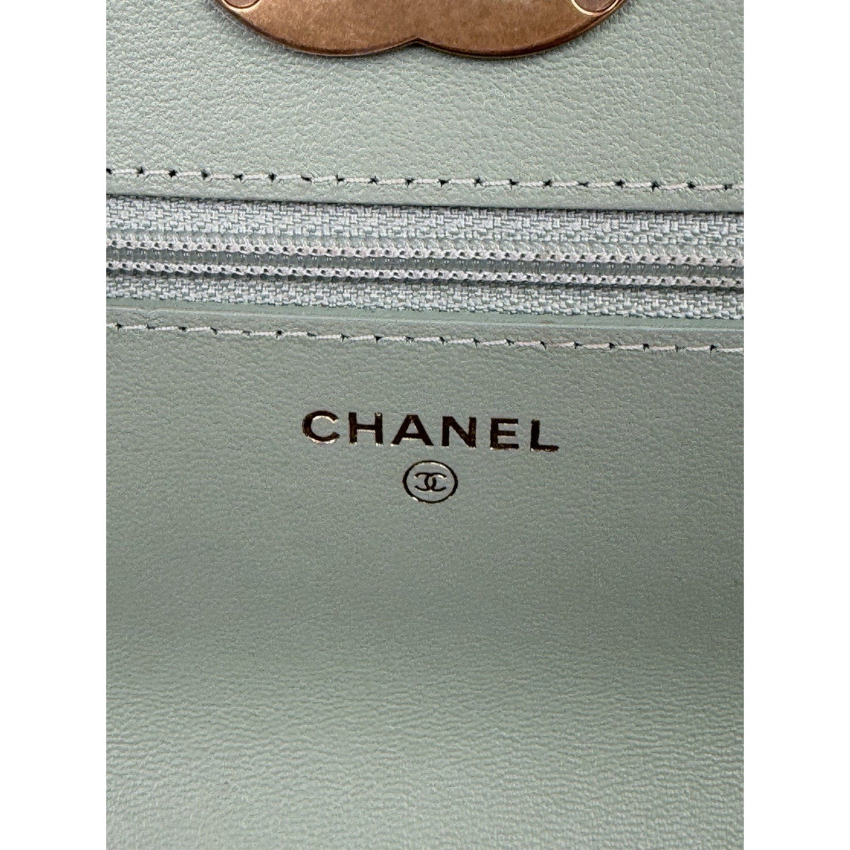 Chanel 19 Wallet on Chain Bag in Mint Green Quilted Lambskin Leather NFC B7