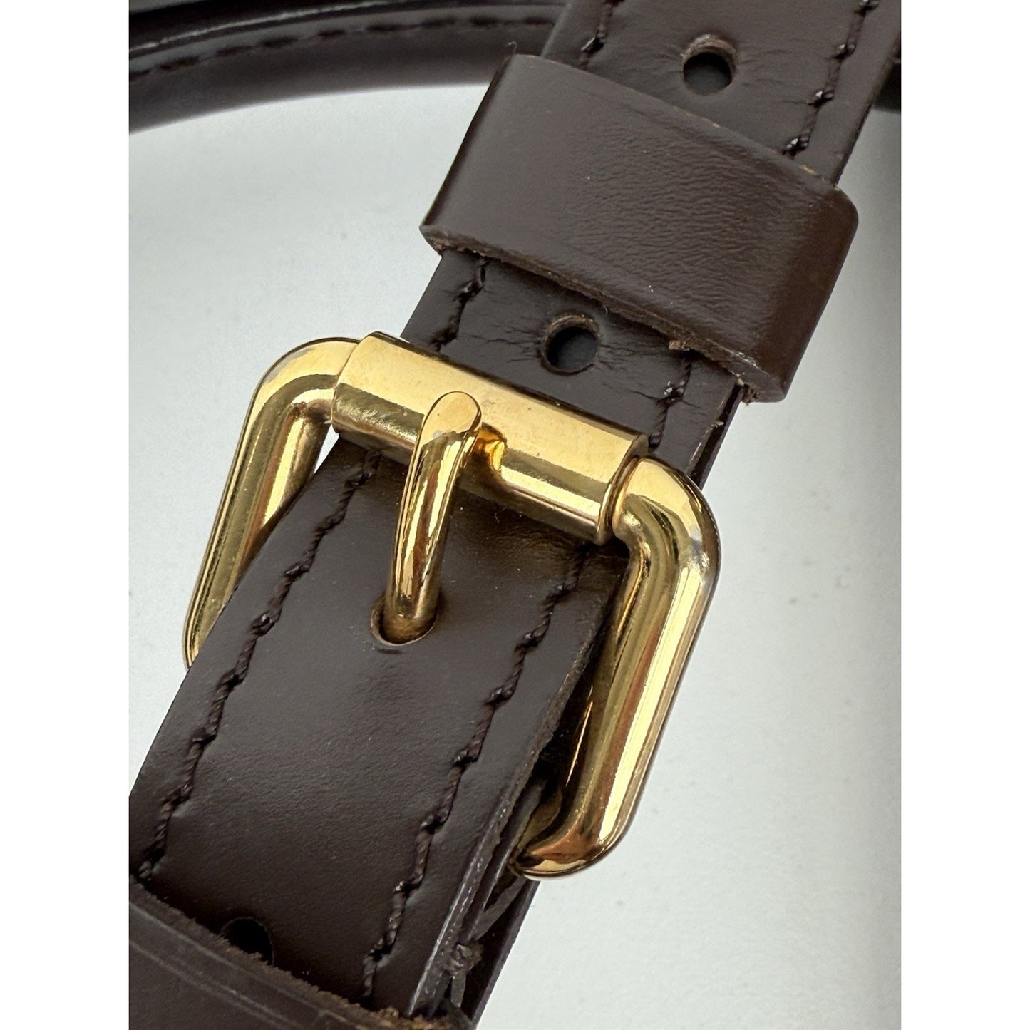 Louis Vuitton Damier Ebene Trevi GM Brown Canvas