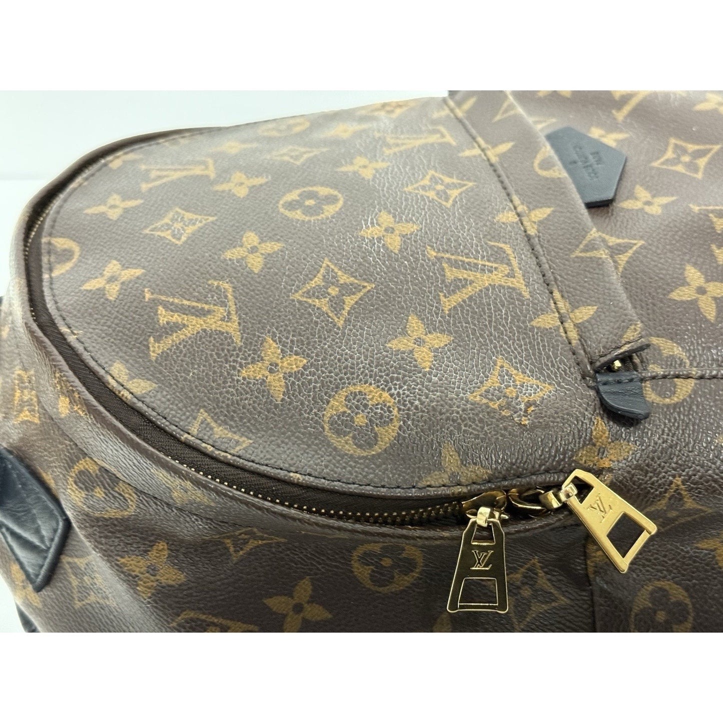Louis Vuitton Palm Springs Backpack Monogram Canvas MM
