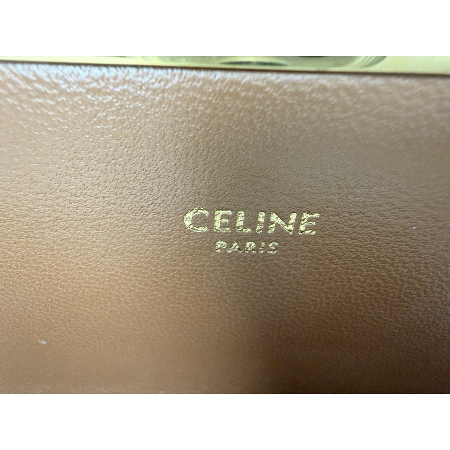Celine Teen Triomphe Bag in Brown and White Triomphe Canvas and Calfskin S11