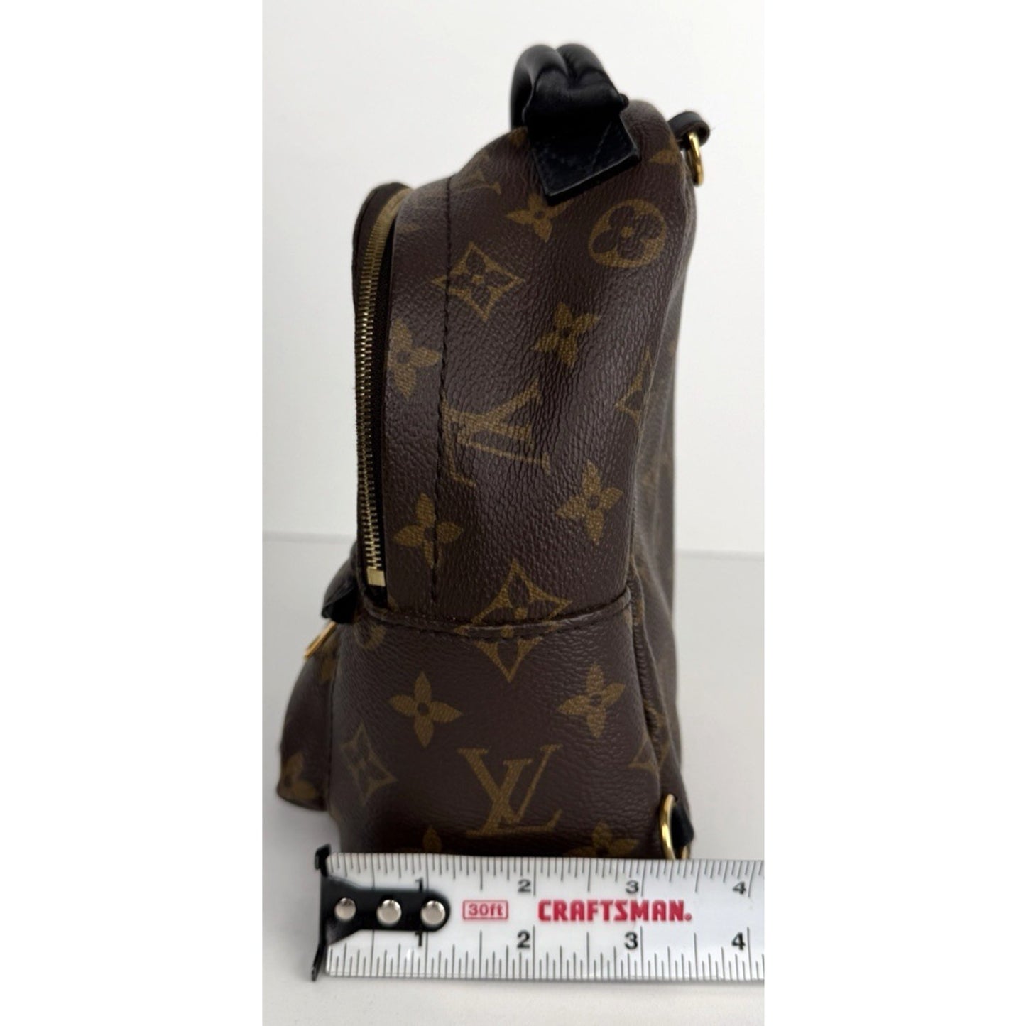 Louis Vuitton Palm Springs Mini Backpack Bag in Brown Coated Canvas 2020 D7