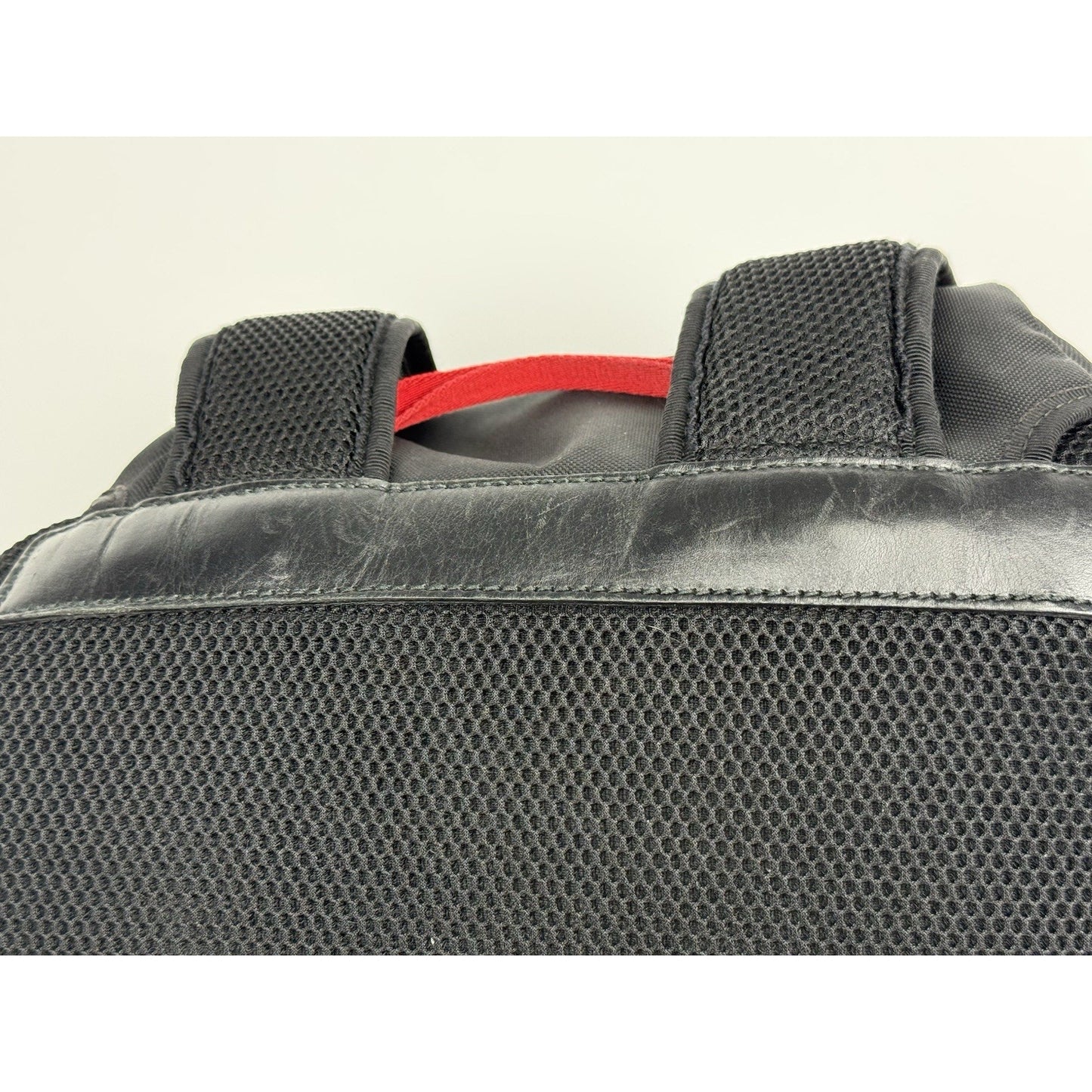 Gucci Animalier Tiger Head Embroidered Backpack Black Floral Butterfly