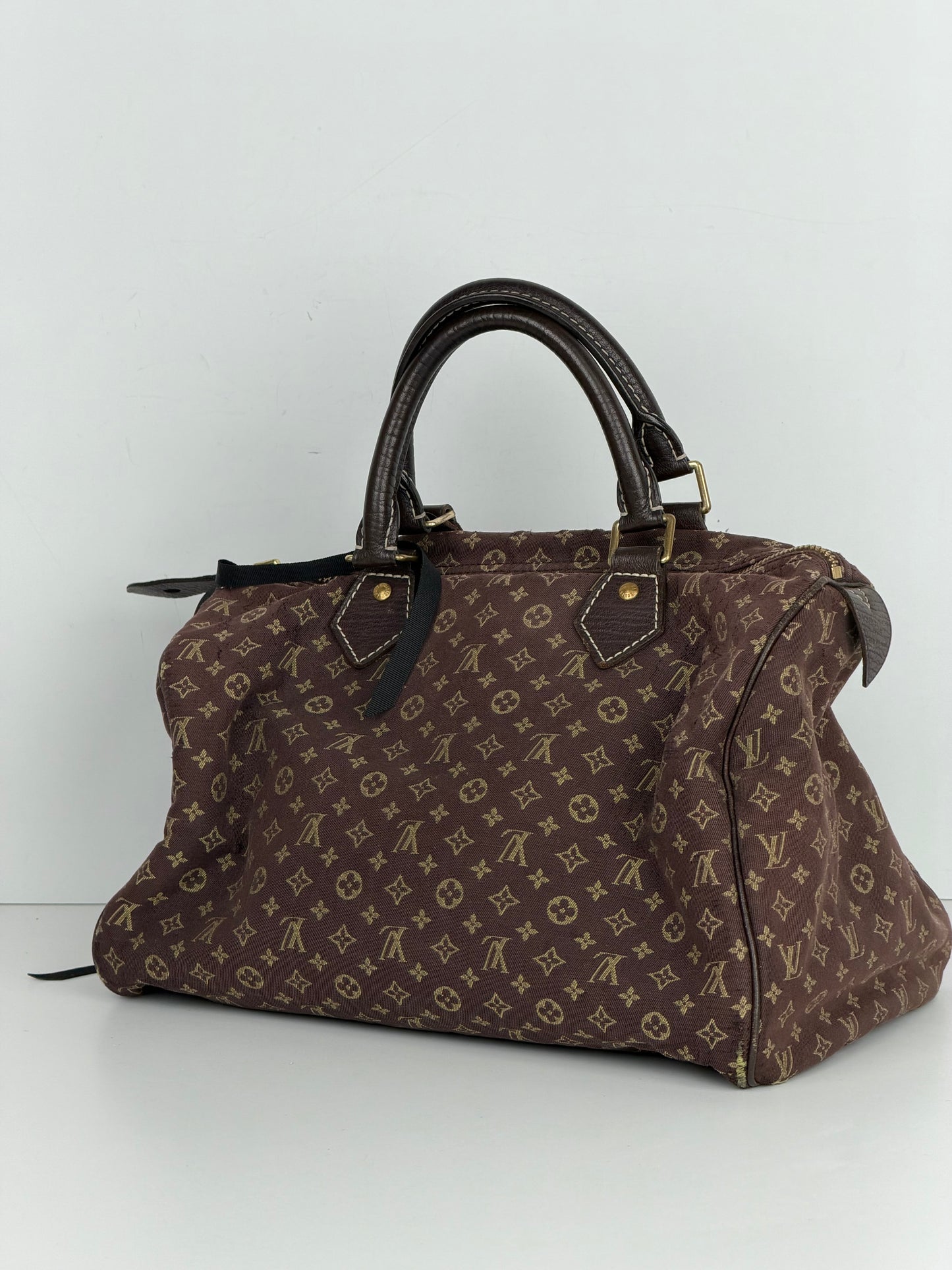 Louis Vuitton Mini Lin Speedy 30 Top Handle Bag