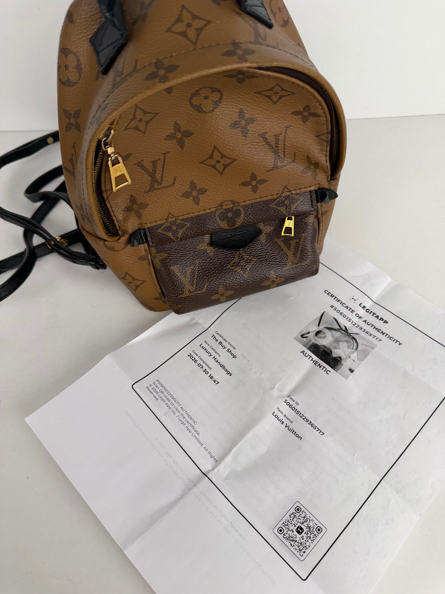 Louis Vuitton Palm Springs Mini Backpack in Brown Reverse Monogram 2018 B-1