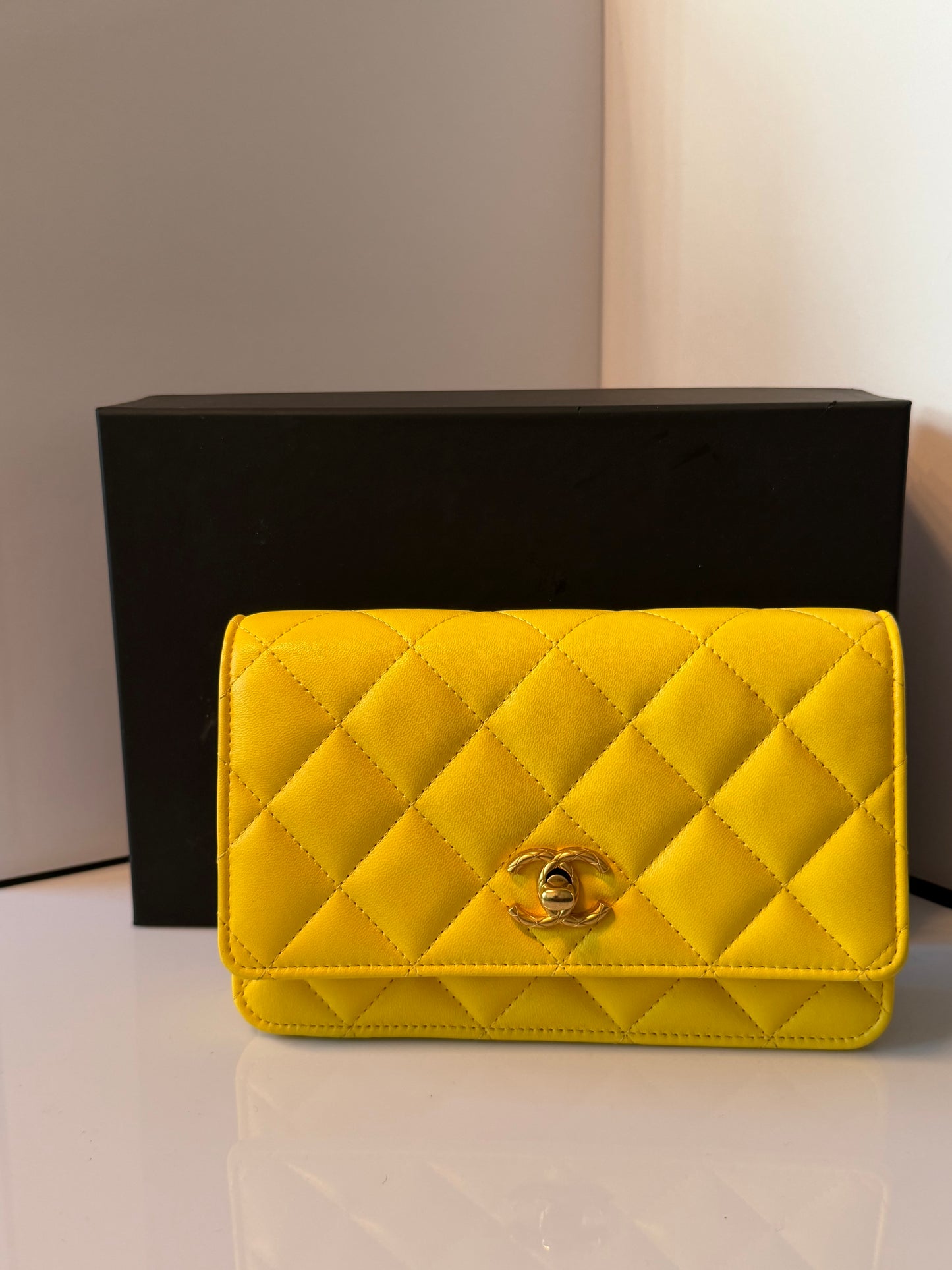 Chanel 2024 Quilted Lambskin Wallet on Chain