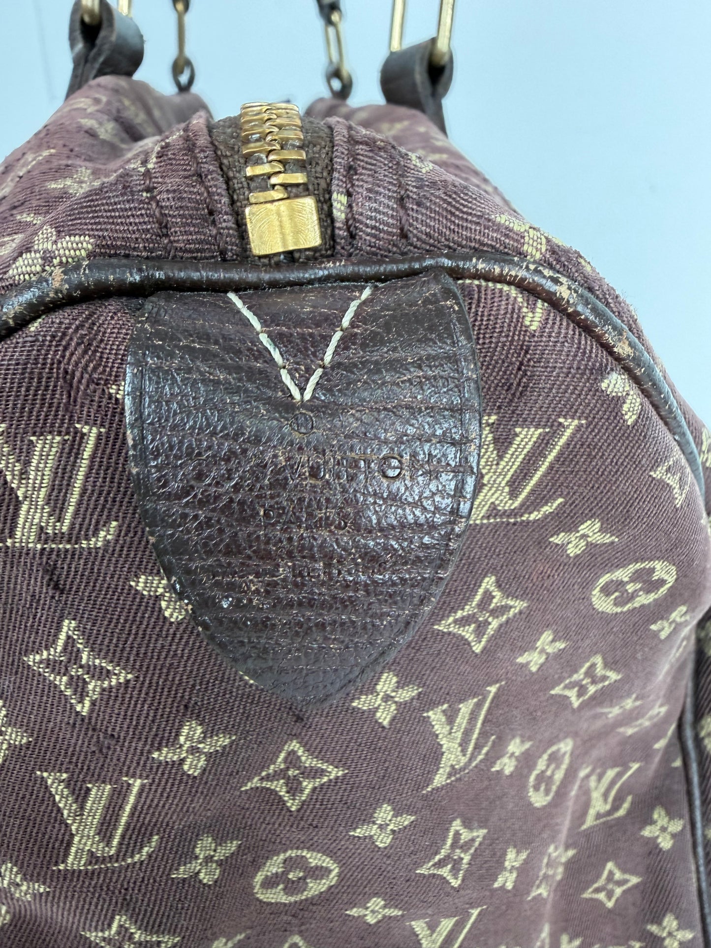 Louis Vuitton Mini Lin Speedy 30 Top Handle Bag