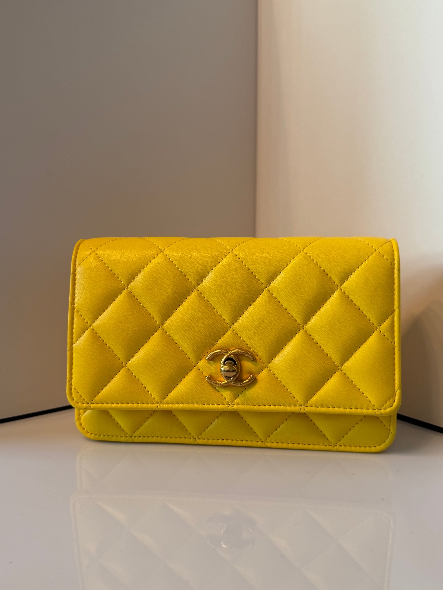 Chanel 2024 Quilted Lambskin Wallet on Chain