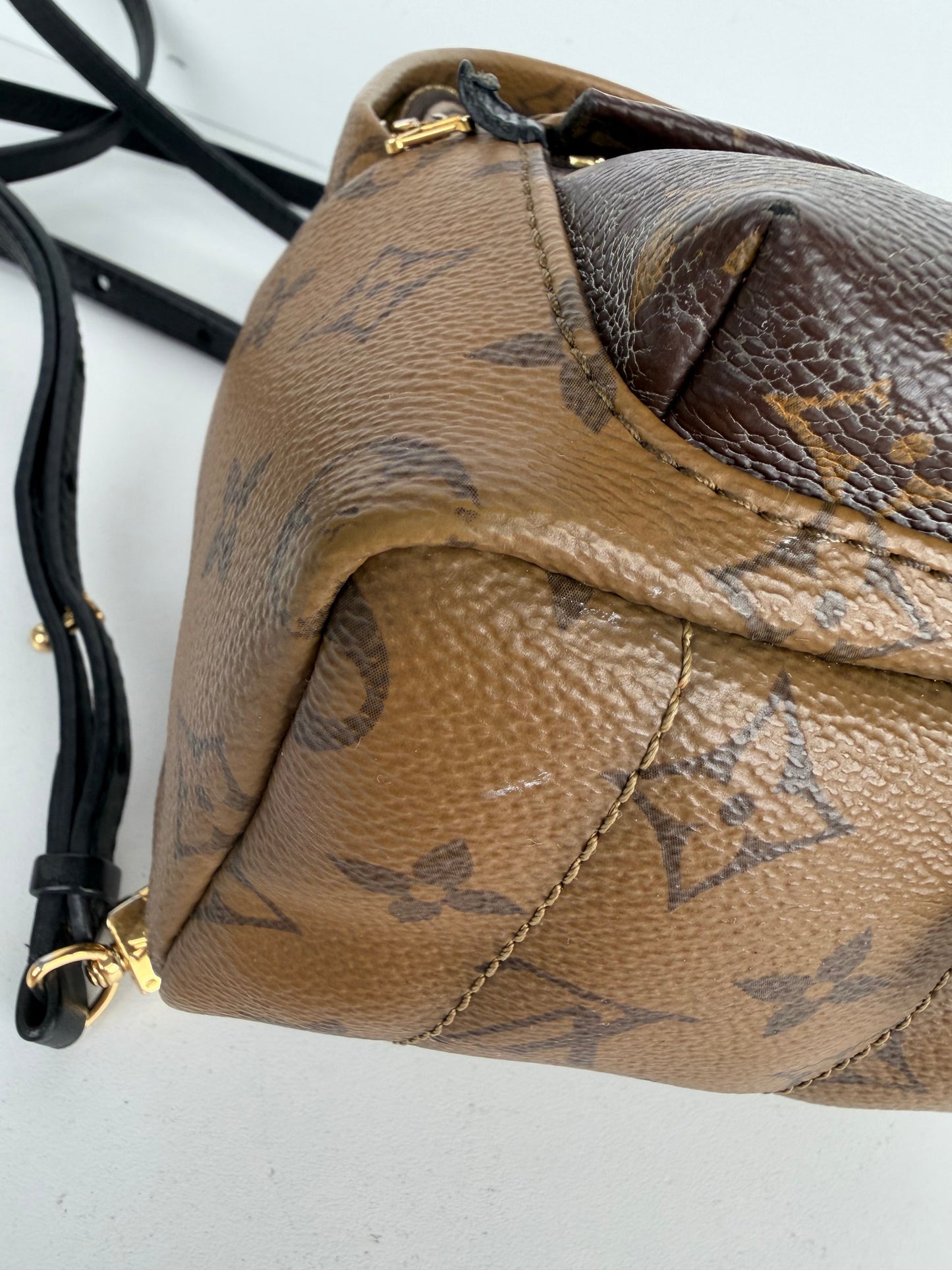 Louis Vuitton Palm Springs Mini Backpack in Brown Reverse Monogram 2018 B-1