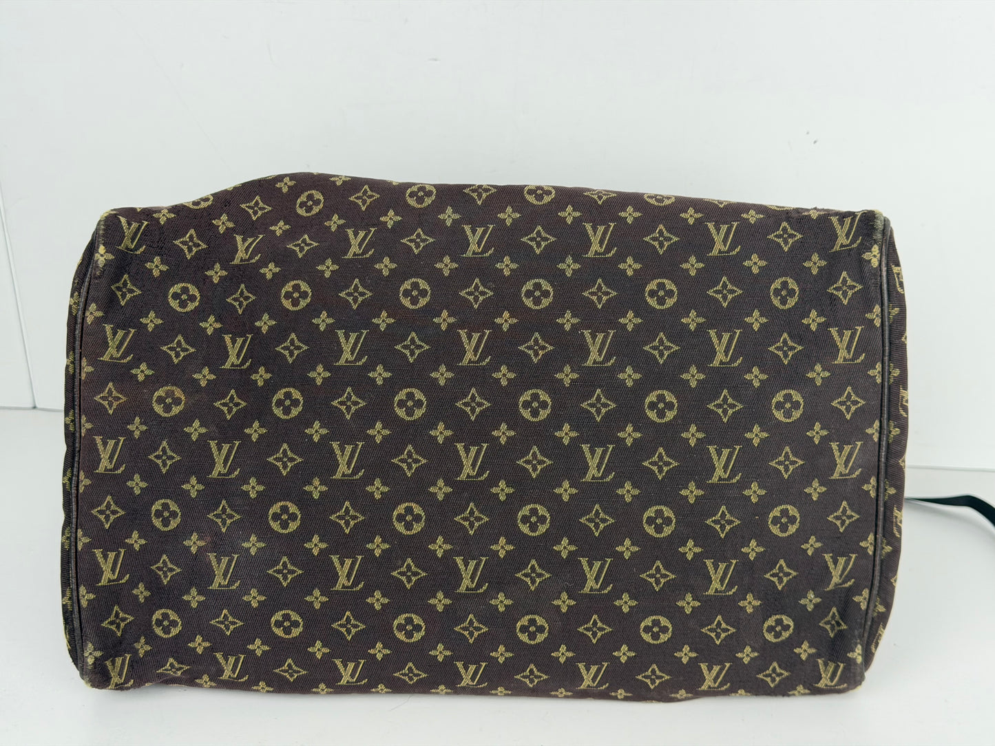 Louis Vuitton Mini Lin Speedy 30 Top Handle Bag