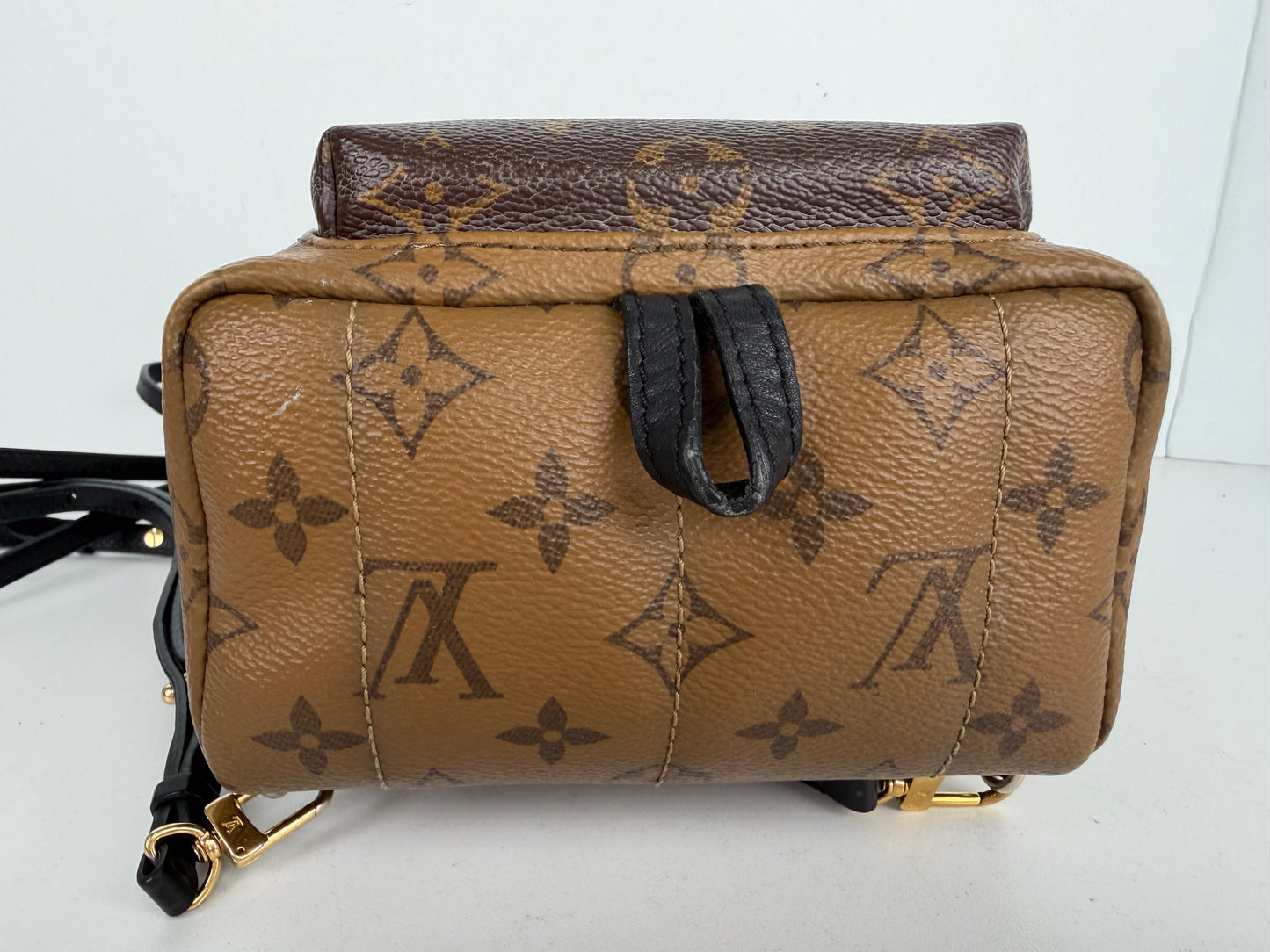 Louis Vuitton Palm Springs Mini Backpack in Brown Reverse Monogram 2018 B-1