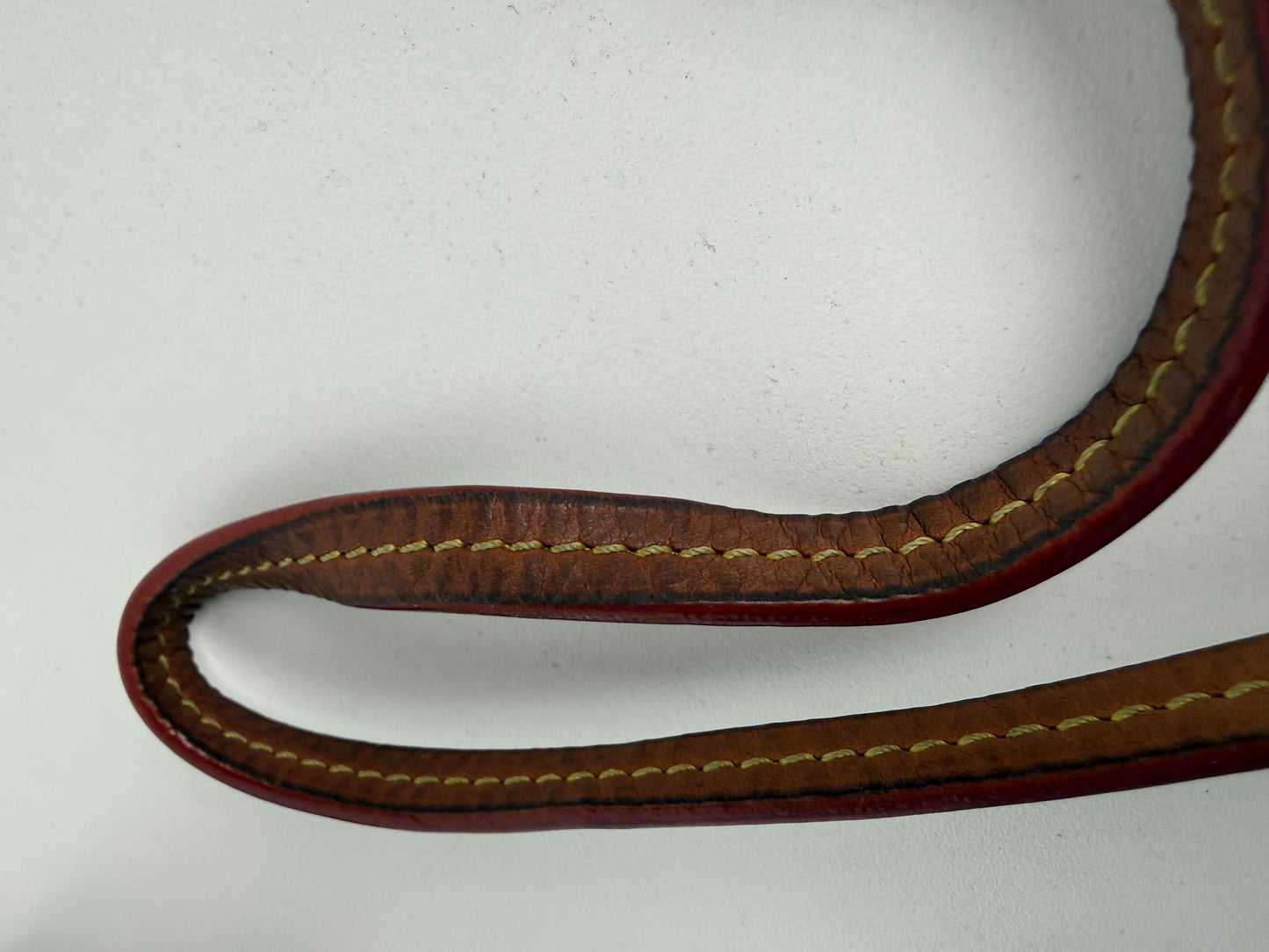 Louis Vuitton Pochette Accessoires in Monogram Canvas Crossbody Bag