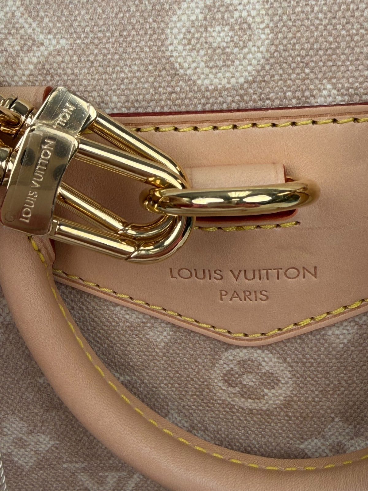 Louis Vuitton Grace Coddington Monogram Mini Lin Backpack with Cat Charm NFC YC8