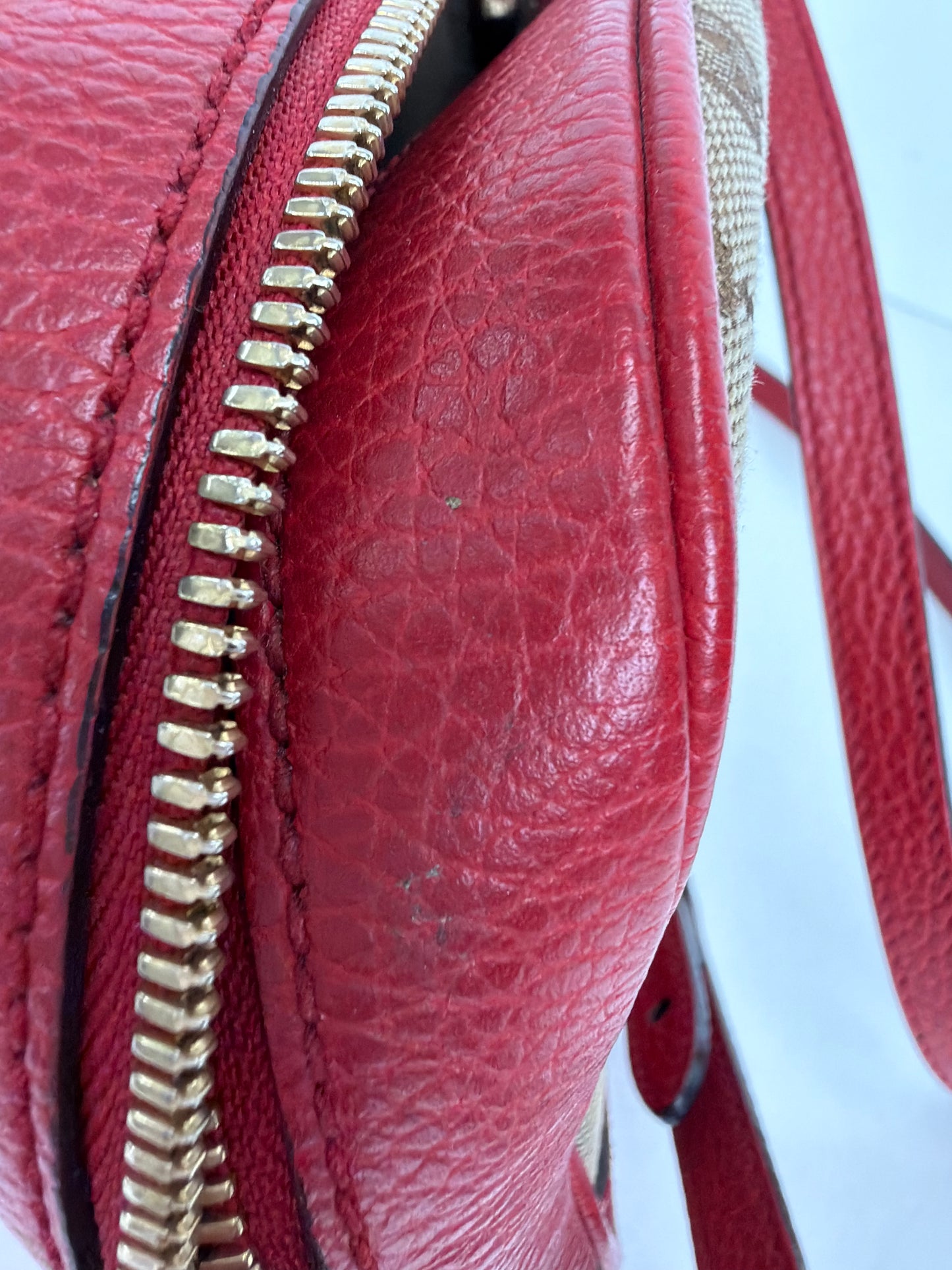 Gucci GG Canvas Camera Crossbody Bag in Beige and Red YS20