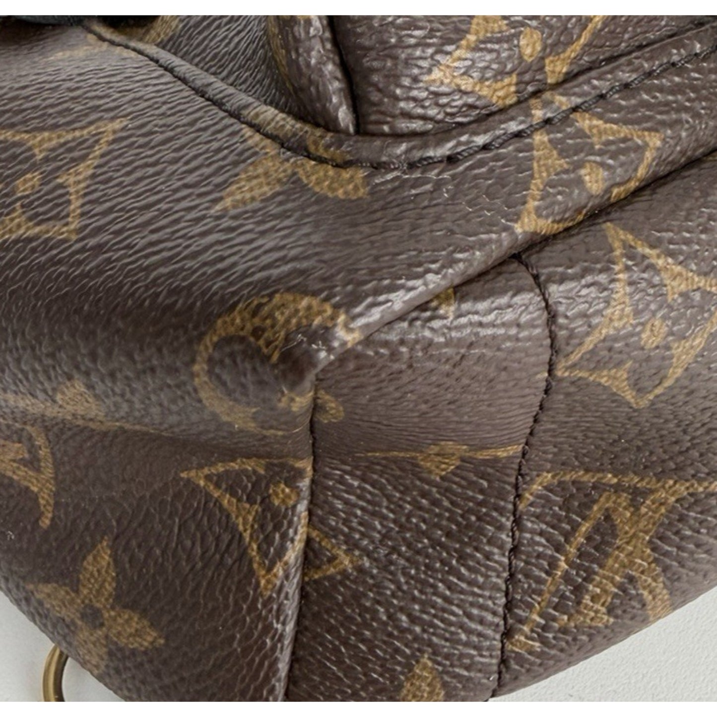 Louis Vuitton Palm Springs Mini Backpack Bag in Brown Coated Canvas 2020 D7