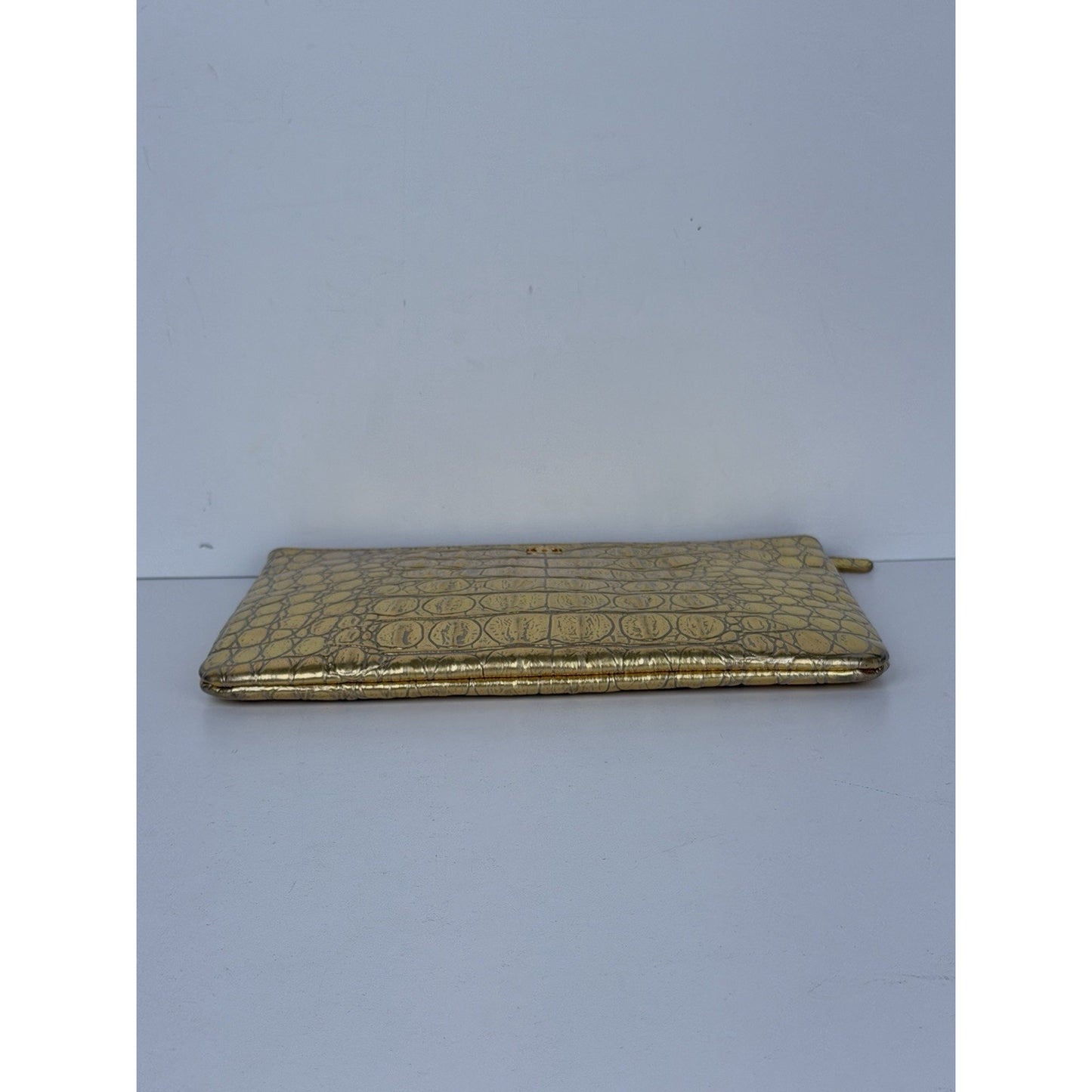 CHANEL Metallic Crocodile Embossed Calfskin Medium O Case Clutch (2019)