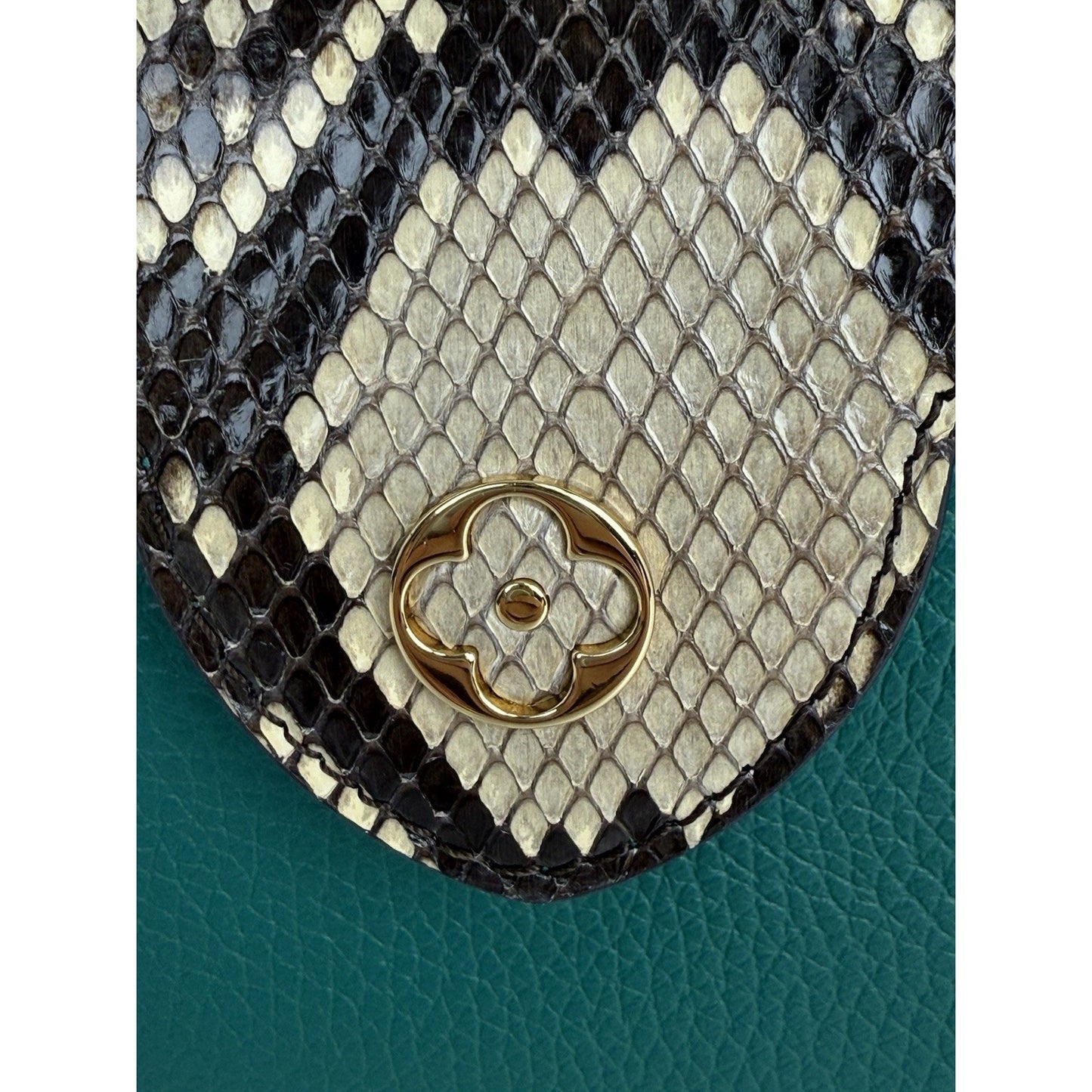 Louis Vuitton Capucines BB Python & Leather Bag Emerald Green with Gold HW B-2