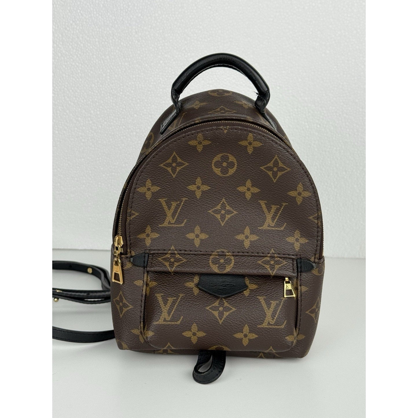 Louis Vuitton Mini Palm Springs Women's Backpack in Brown Monogram