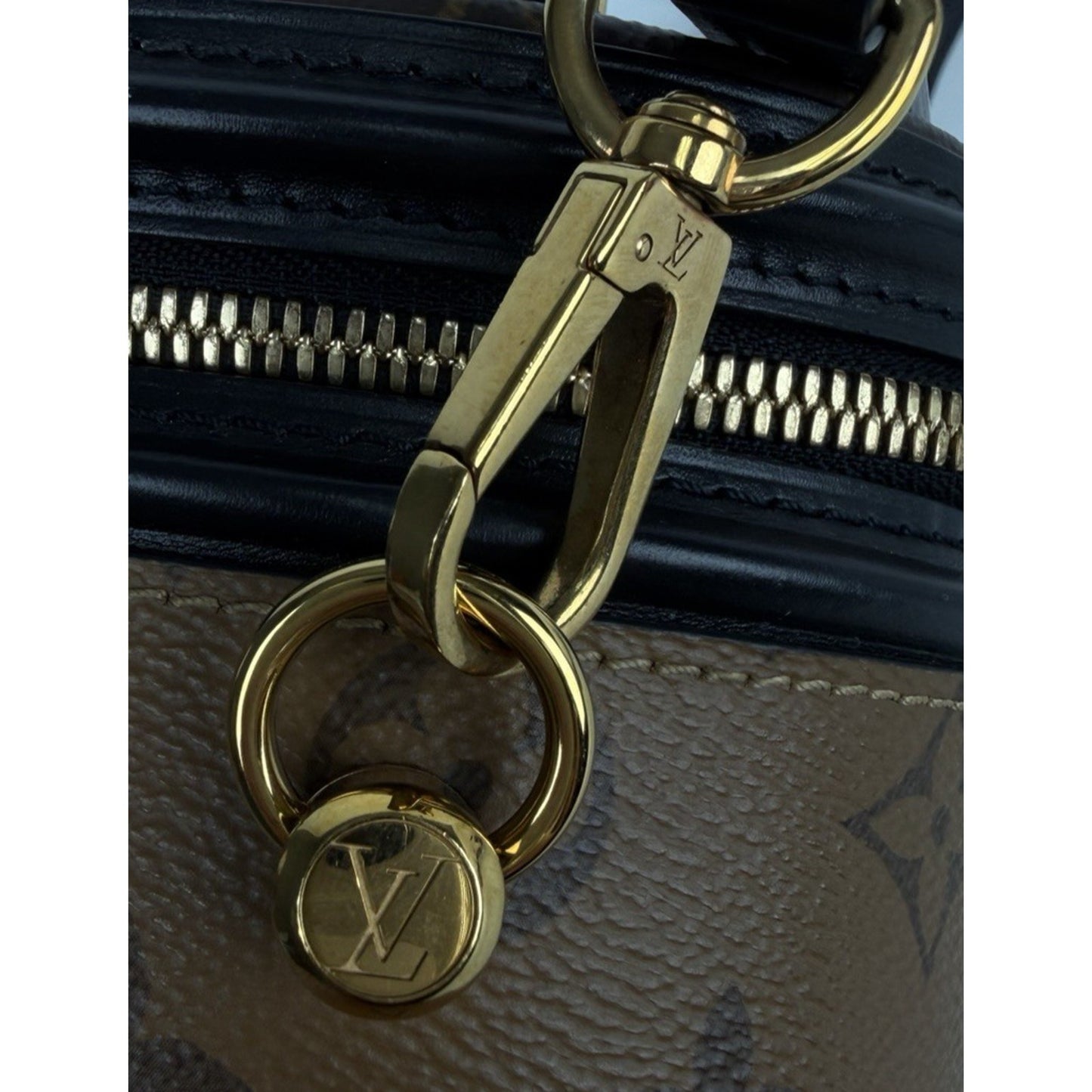 Louis Vuitton Reverse Monogram Cannes Bag in Coated Canvas NFC D-7